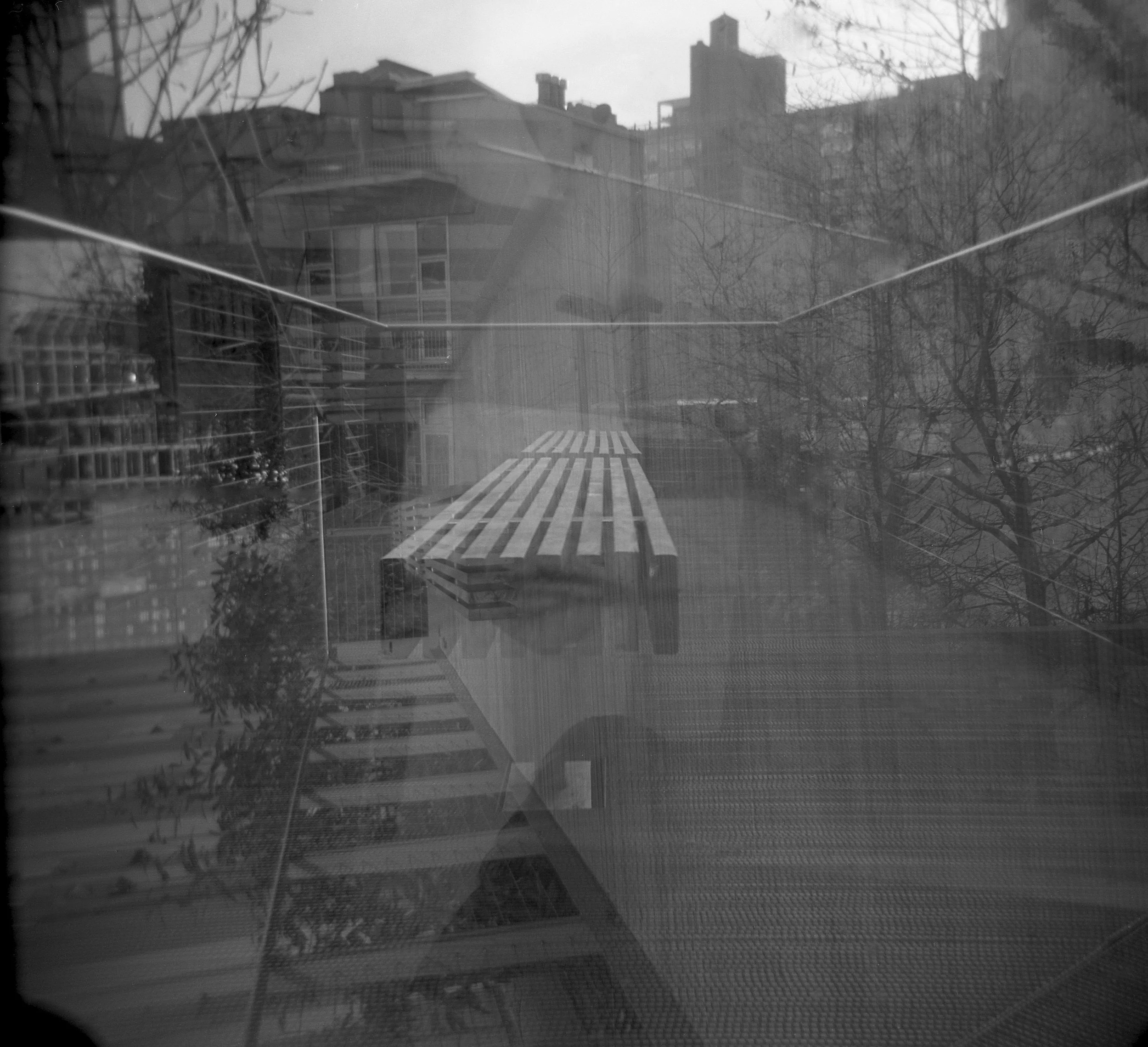 double exposure004 copy.jpg