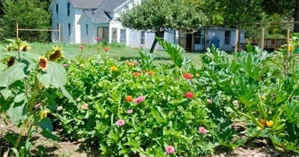 Wakeman Town Farm