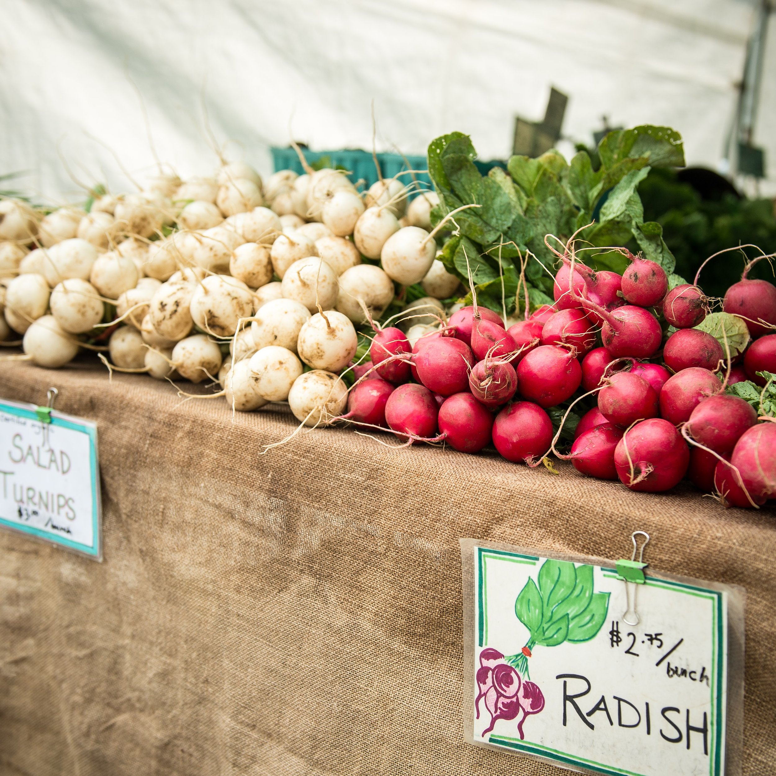 Summer Market-3.jpg