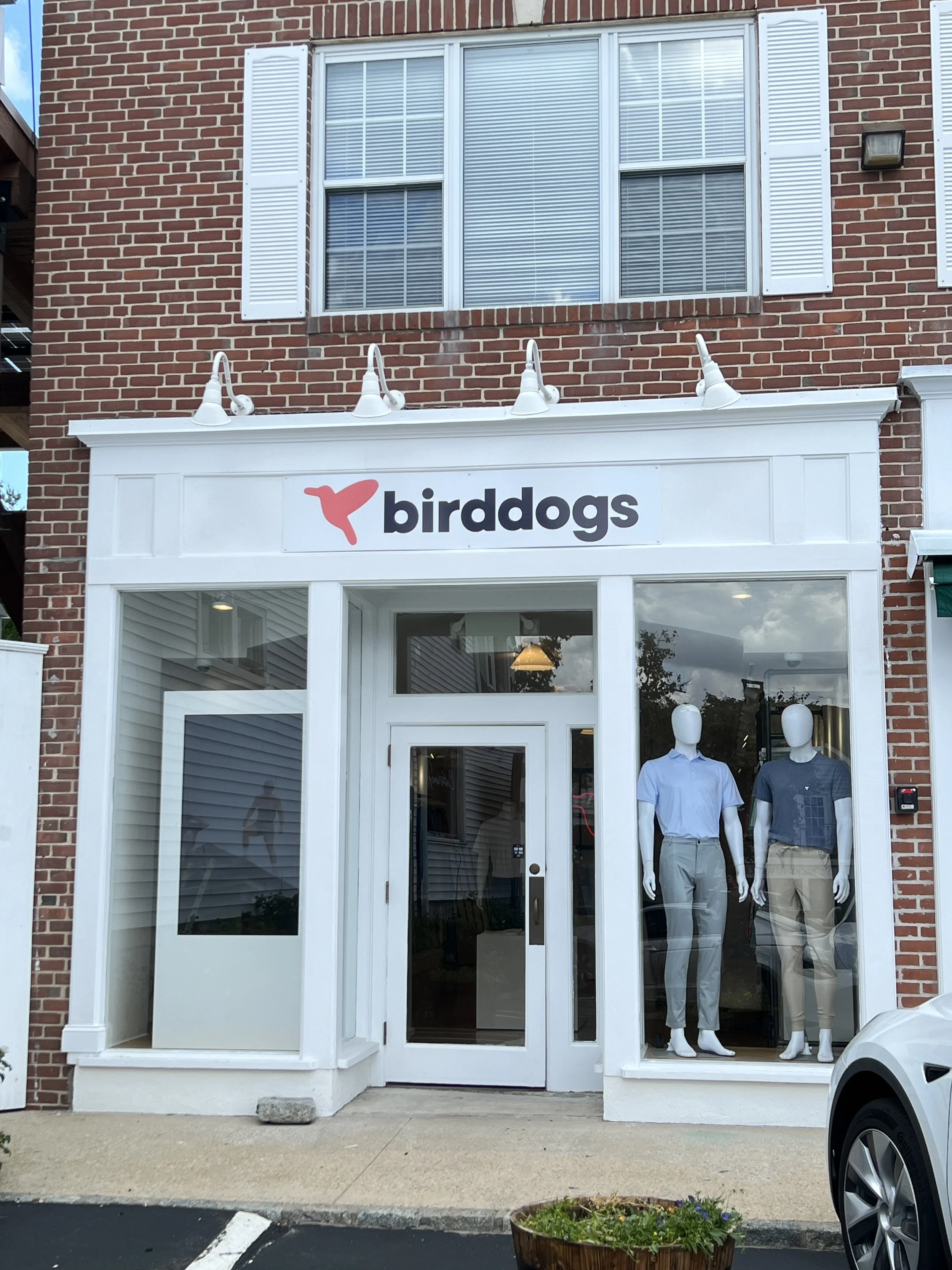 birddogs.JPG