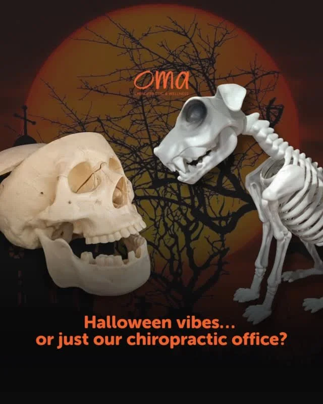 Is it a Halloween decoration&hellip; or just another day at Oma? 👻

With all the bones around here, it&rsquo;s hard to tell! 😅

Wishing everyone a spooktacular and safe Halloween. Whether you&rsquo;re out trick-or-treating or keeping cozy at home, 