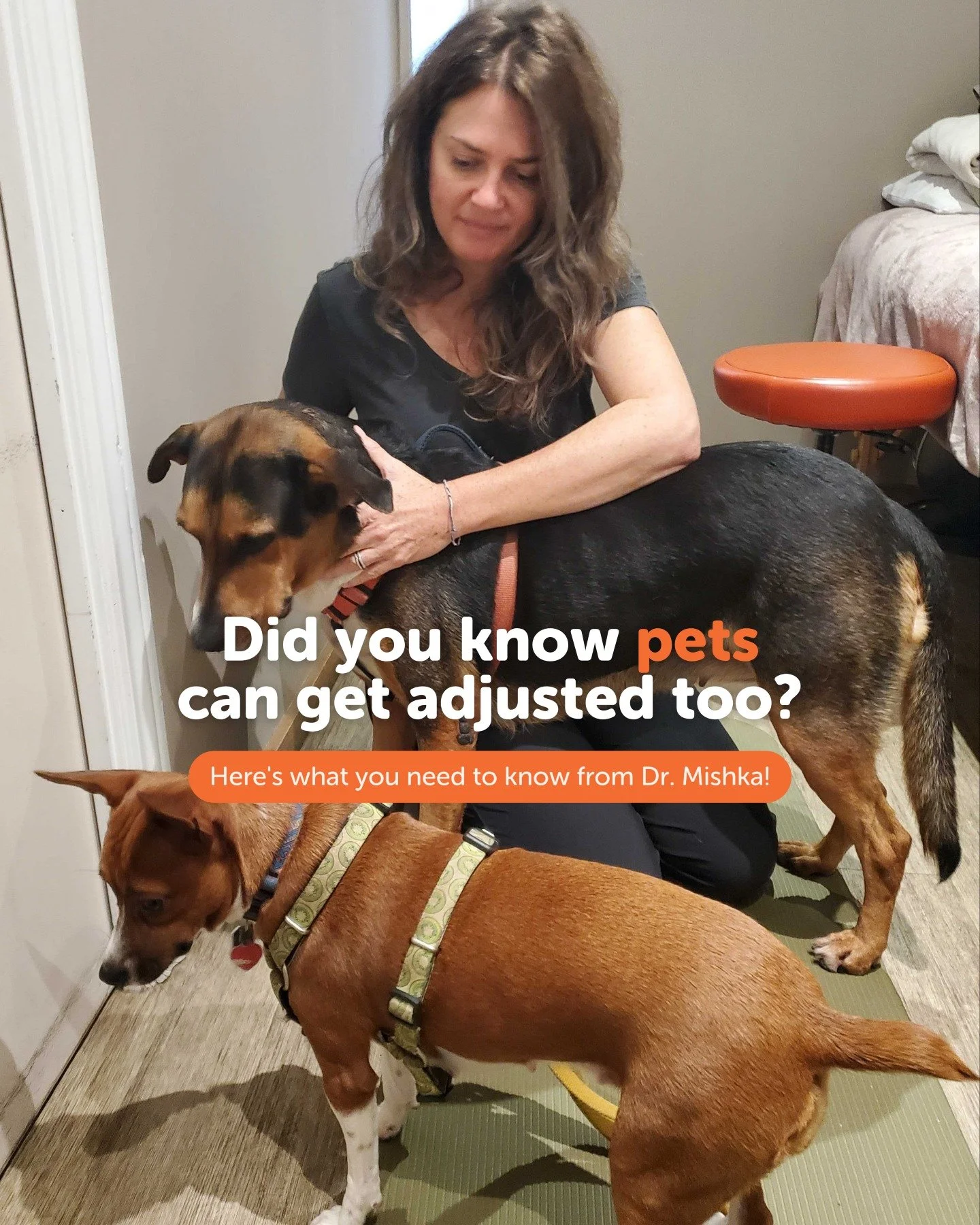 Did you know pets can get adjusted too? 🐶🐱

Just like humans, our furry companions can experience stiffness, soreness, and mobility issues that affect their mood, activity, and overall well-being. Chiropractic care can help relieve pain, improve mo