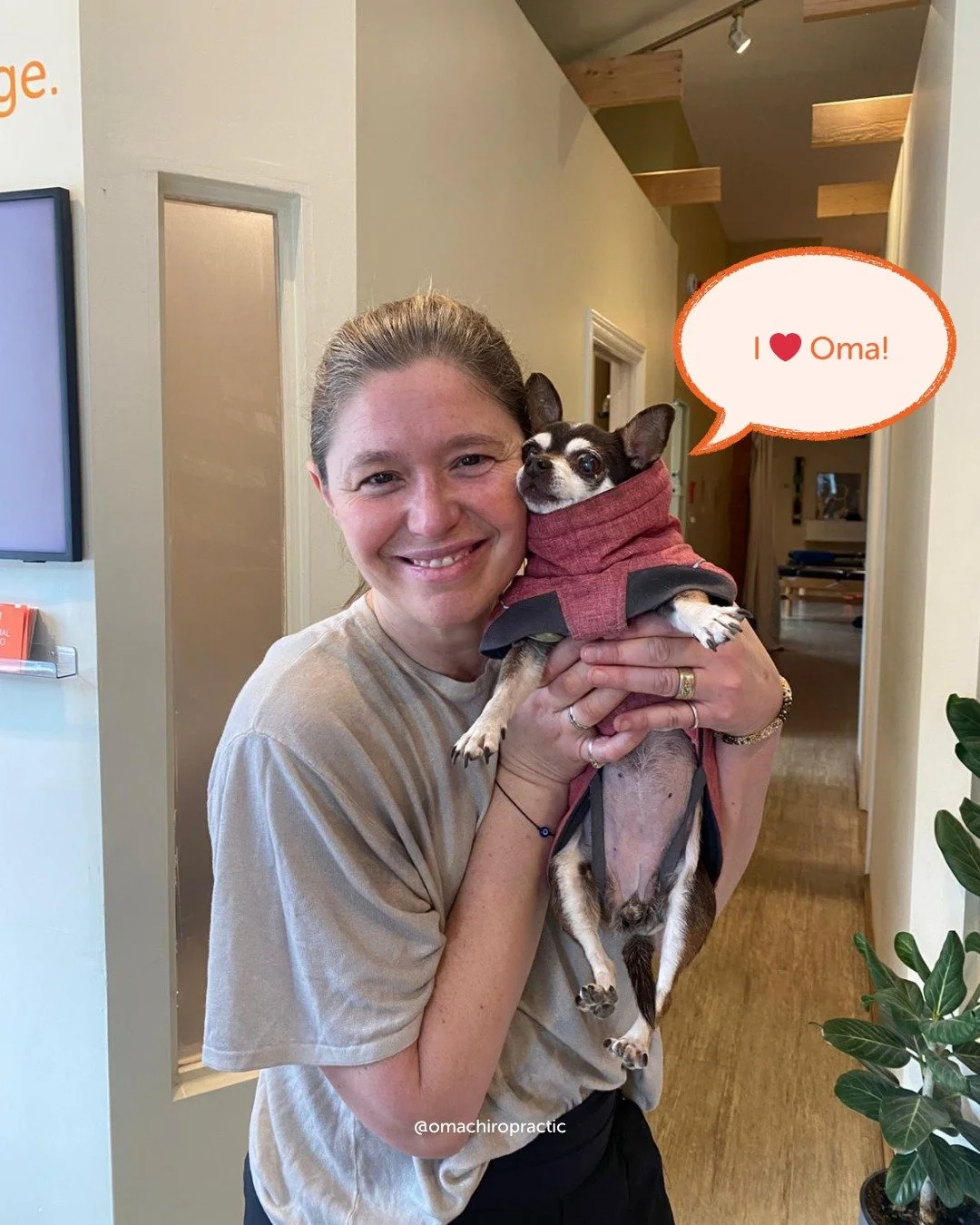 This is Frida 🐾

A longtime companion who loves coming to Oma with her owner, and we love having her here just as much.

She brings a little extra calm, a few smiles, and a lot of warmth to our space every time she visits 🧡

Frida, you&rsquo;re alw