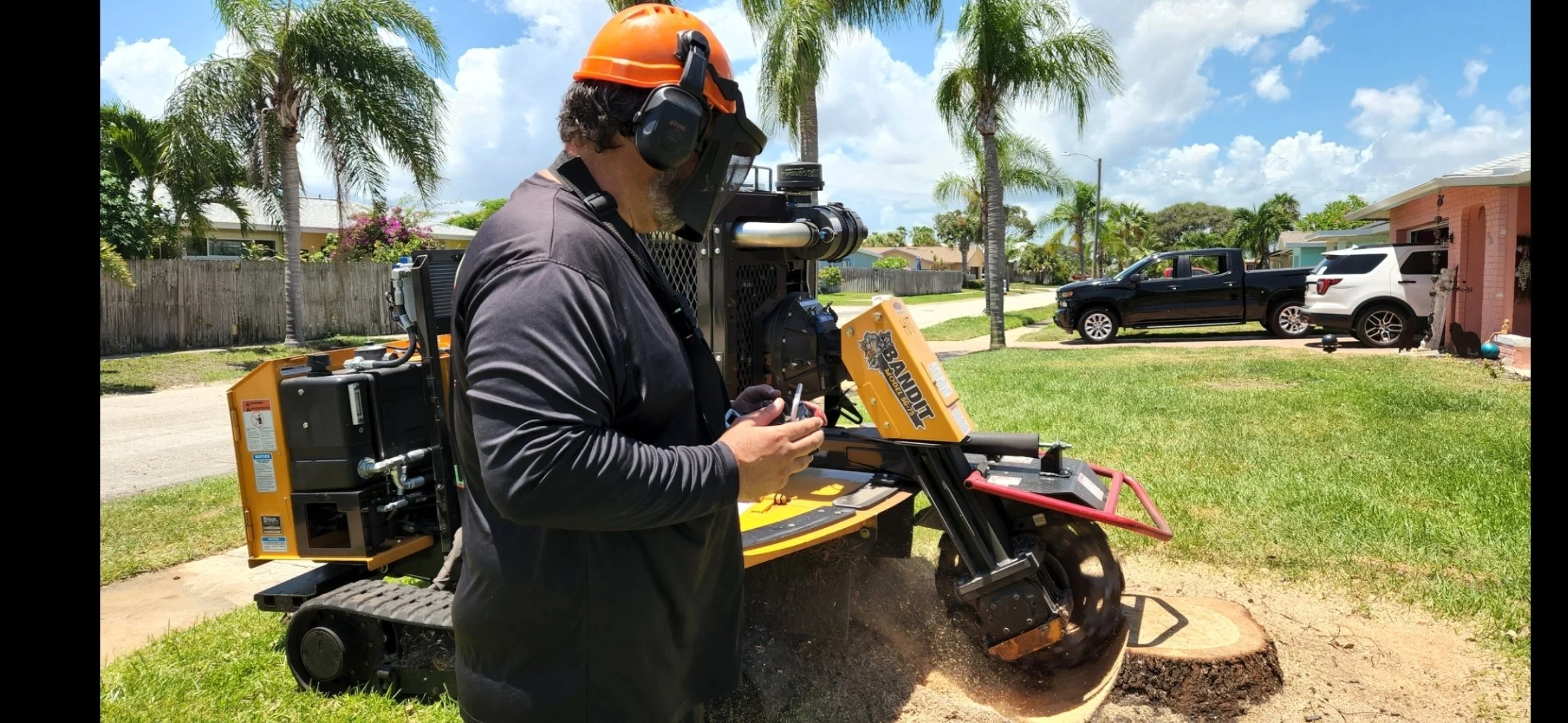 Complete Tree Care