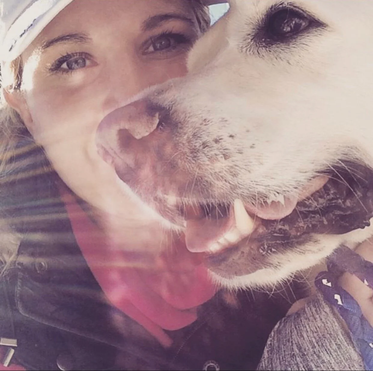 Woof — Seacoast NH dogs