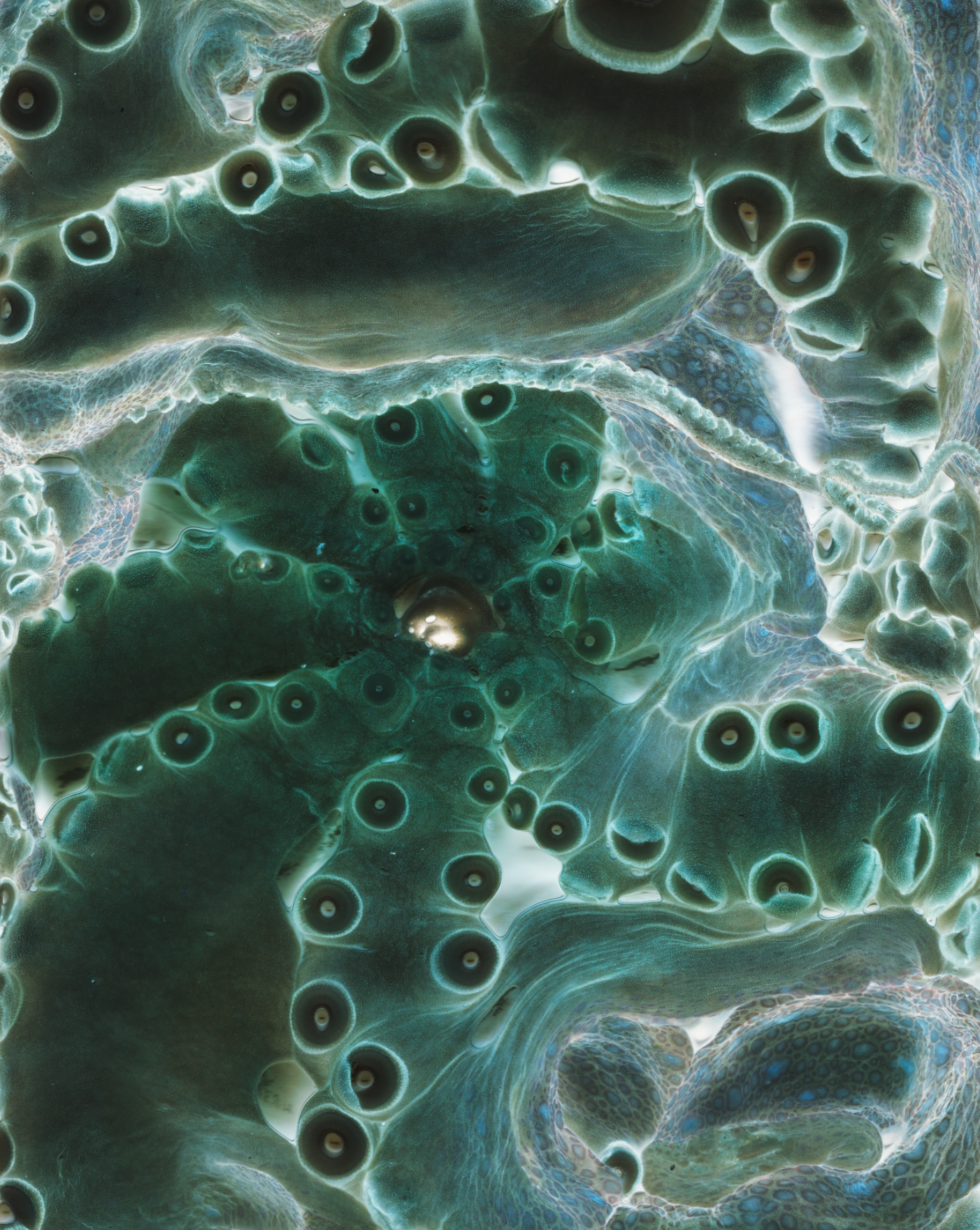 Screen Shot 2025-10-31 at 3.16.28 PM.png