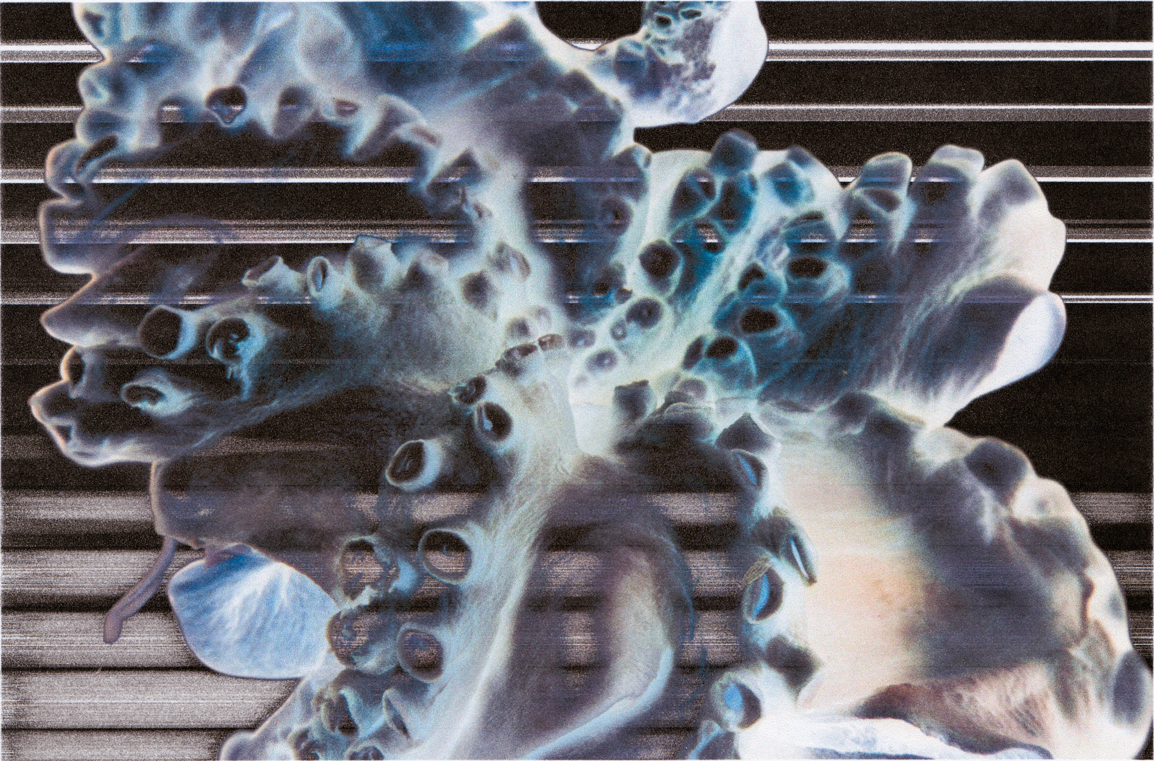 Screen Shot 2026-02-06 at 10.41.54 AM.png