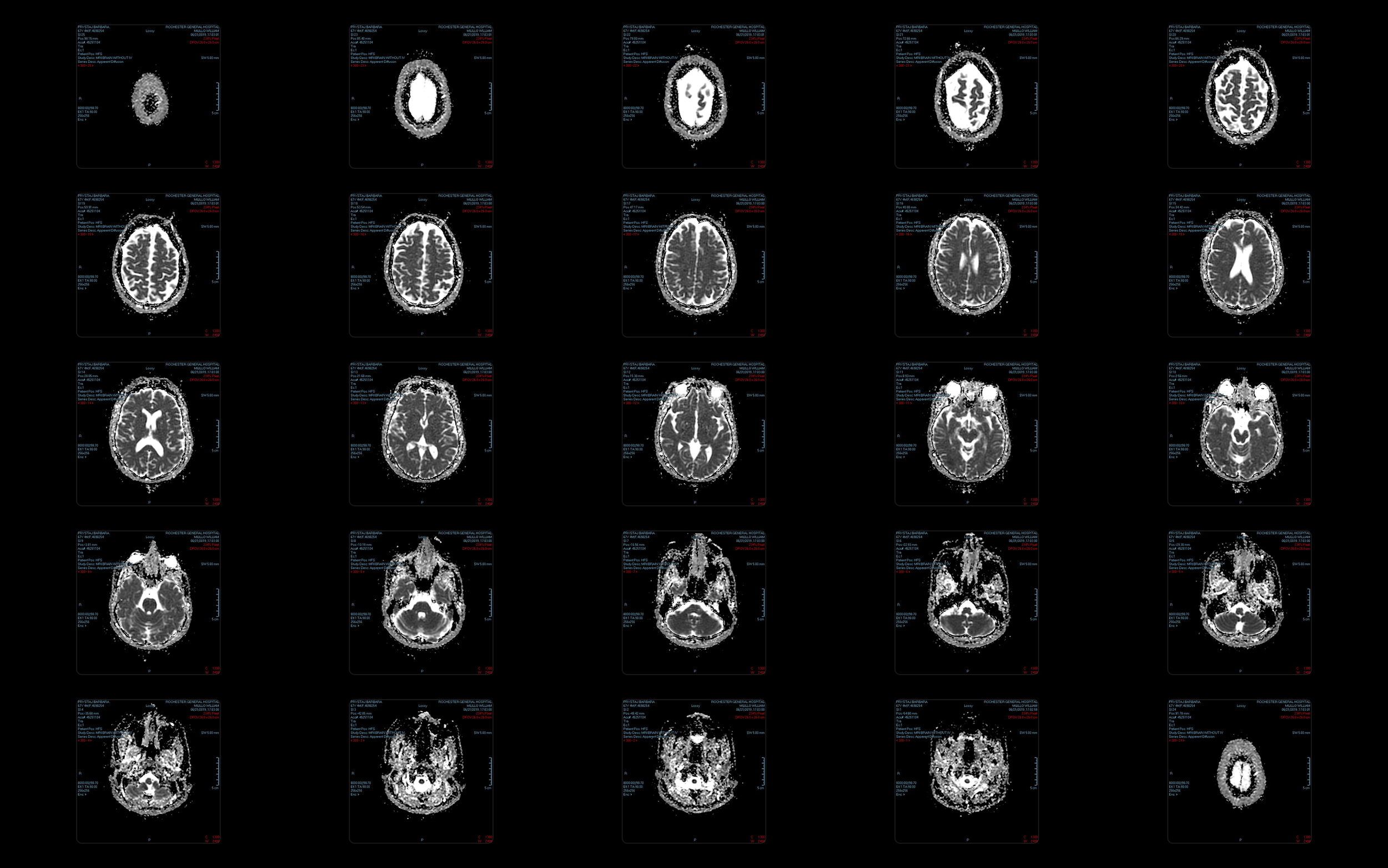 Screen Shot 2025-10-30 at 12.16.13 AM.png