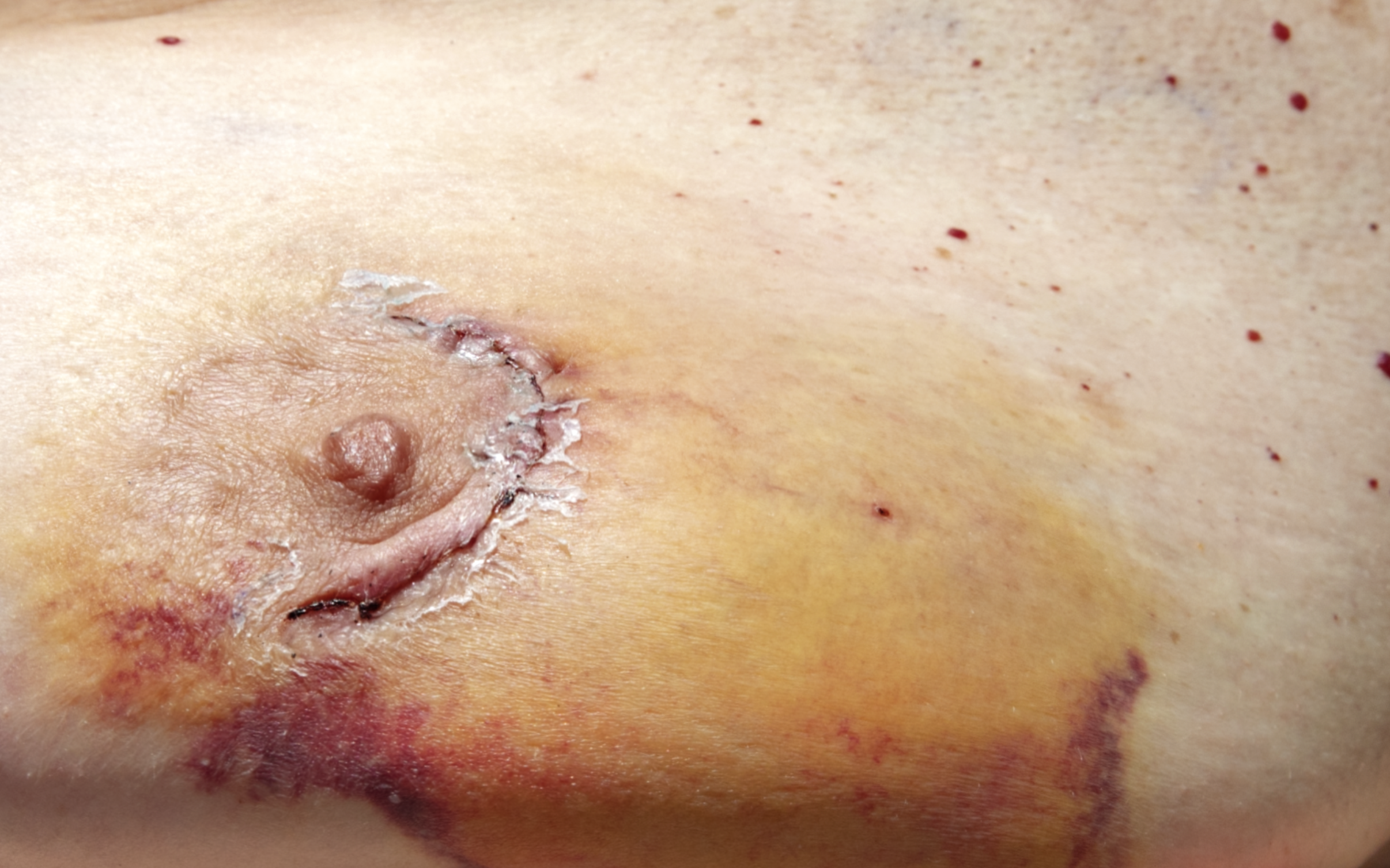 Screen Shot 2025-10-30 at 12.03.04 AM.png