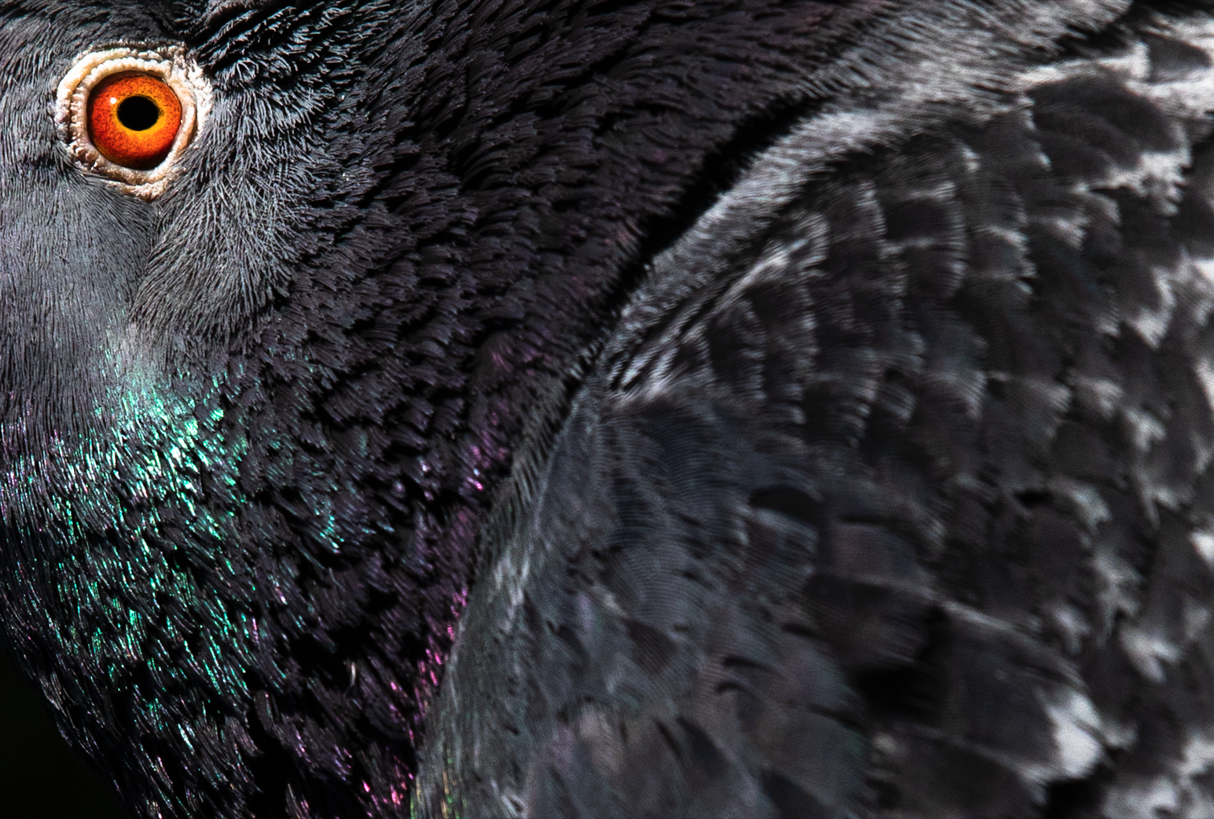 Screen Shot 2025-10-29 at 10.19.17 PM.png