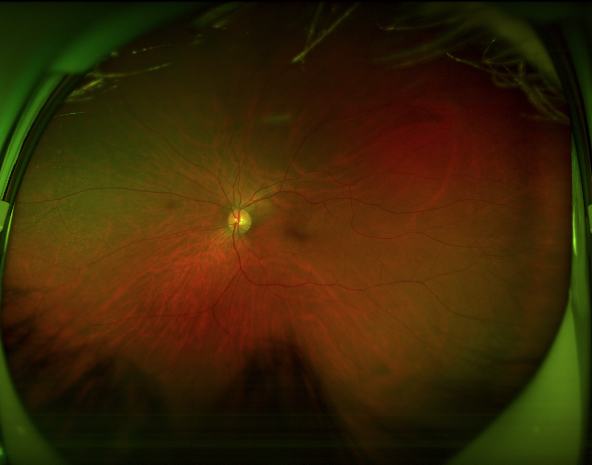 Screen Shot 2025-10-13 at 9.07.52 PM.png