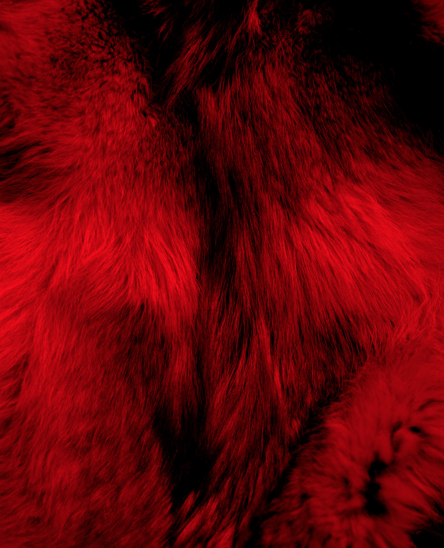 Screen Shot 2025-10-13 at 9.06.36 PM.png