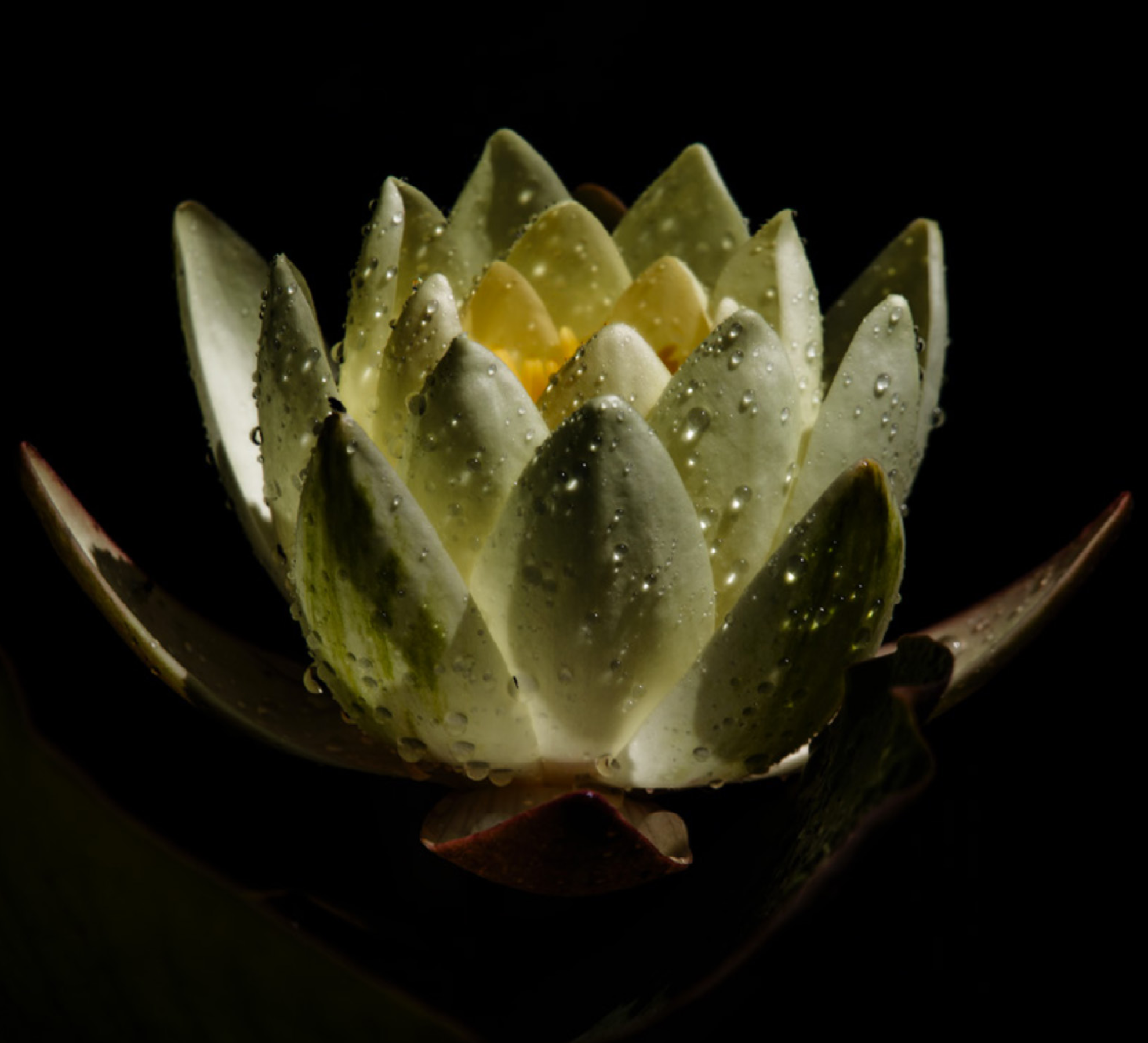 Screen Shot 2025-11-06 at 2.41.13 PM.png