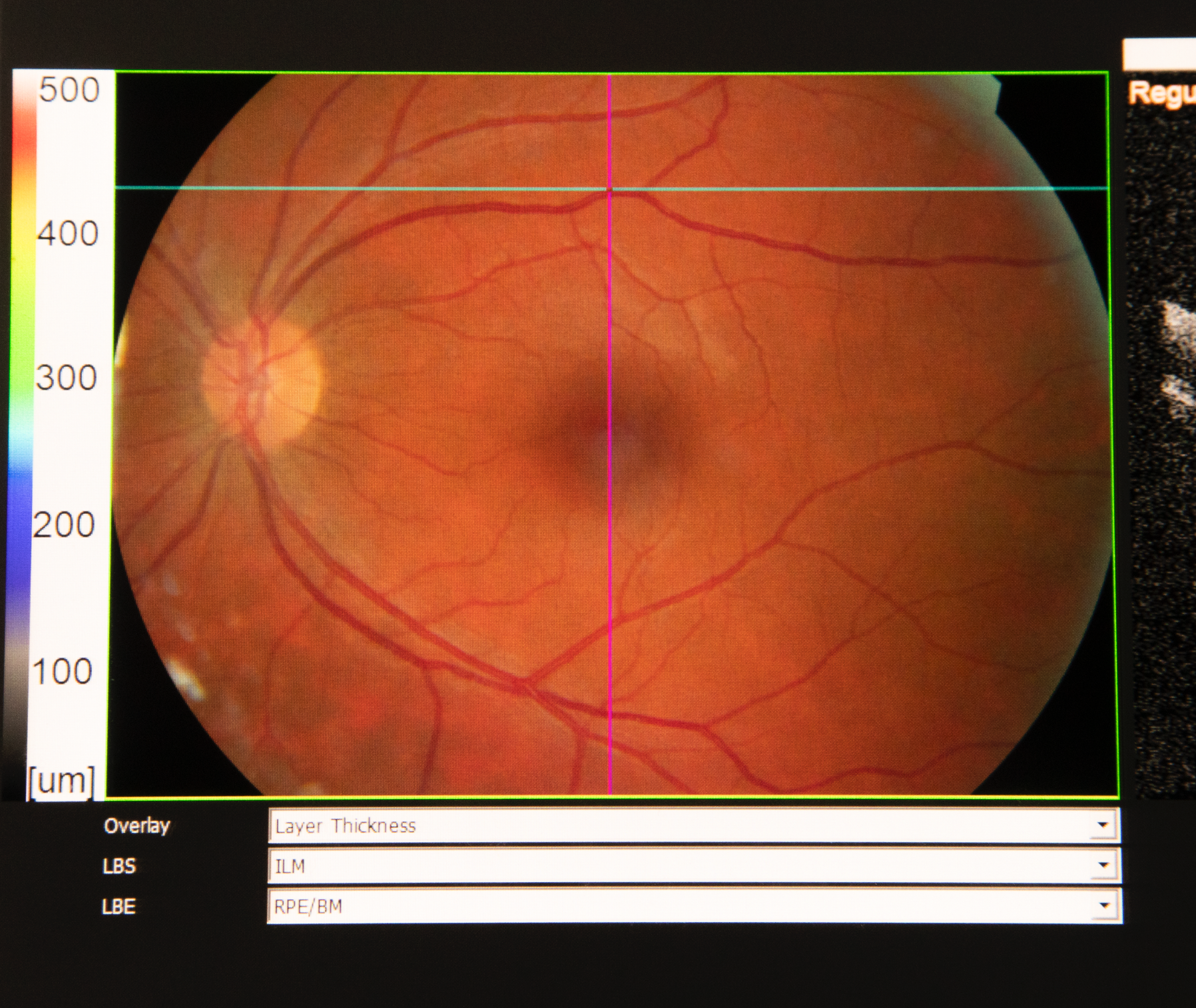 Screen Shot 2026-02-06 at 10.36.45 AM.png