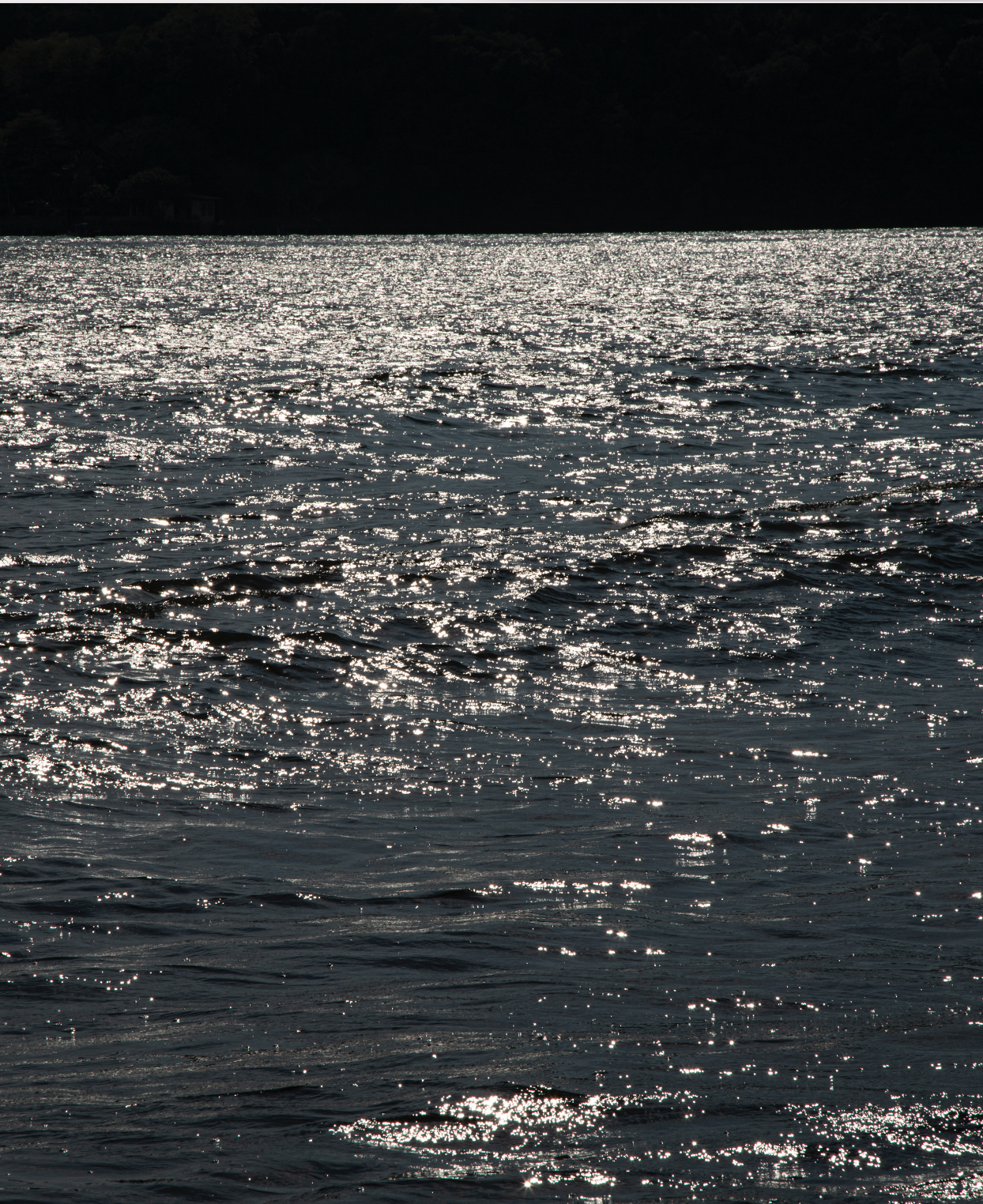 Screen Shot 2025-03-07 at 12.49.25 PM.png