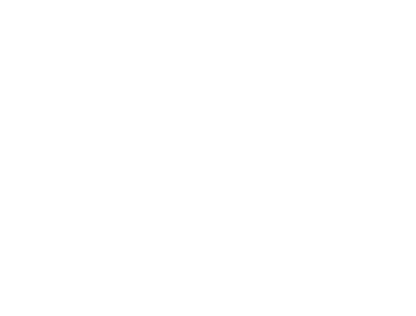 Progress Arizona Institute