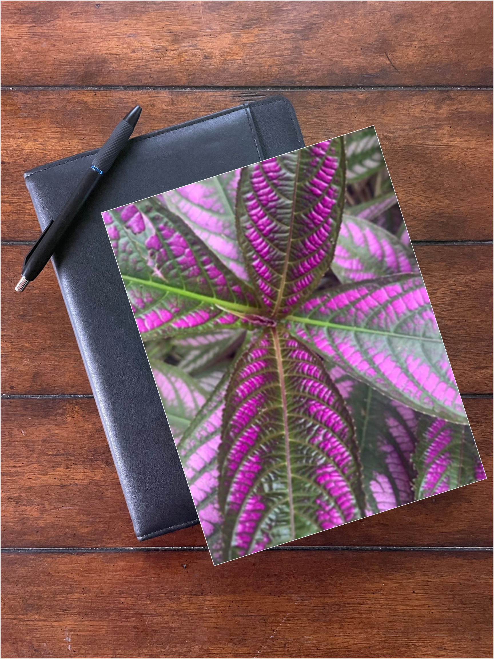 Journal Product Display - Persian Shield.png