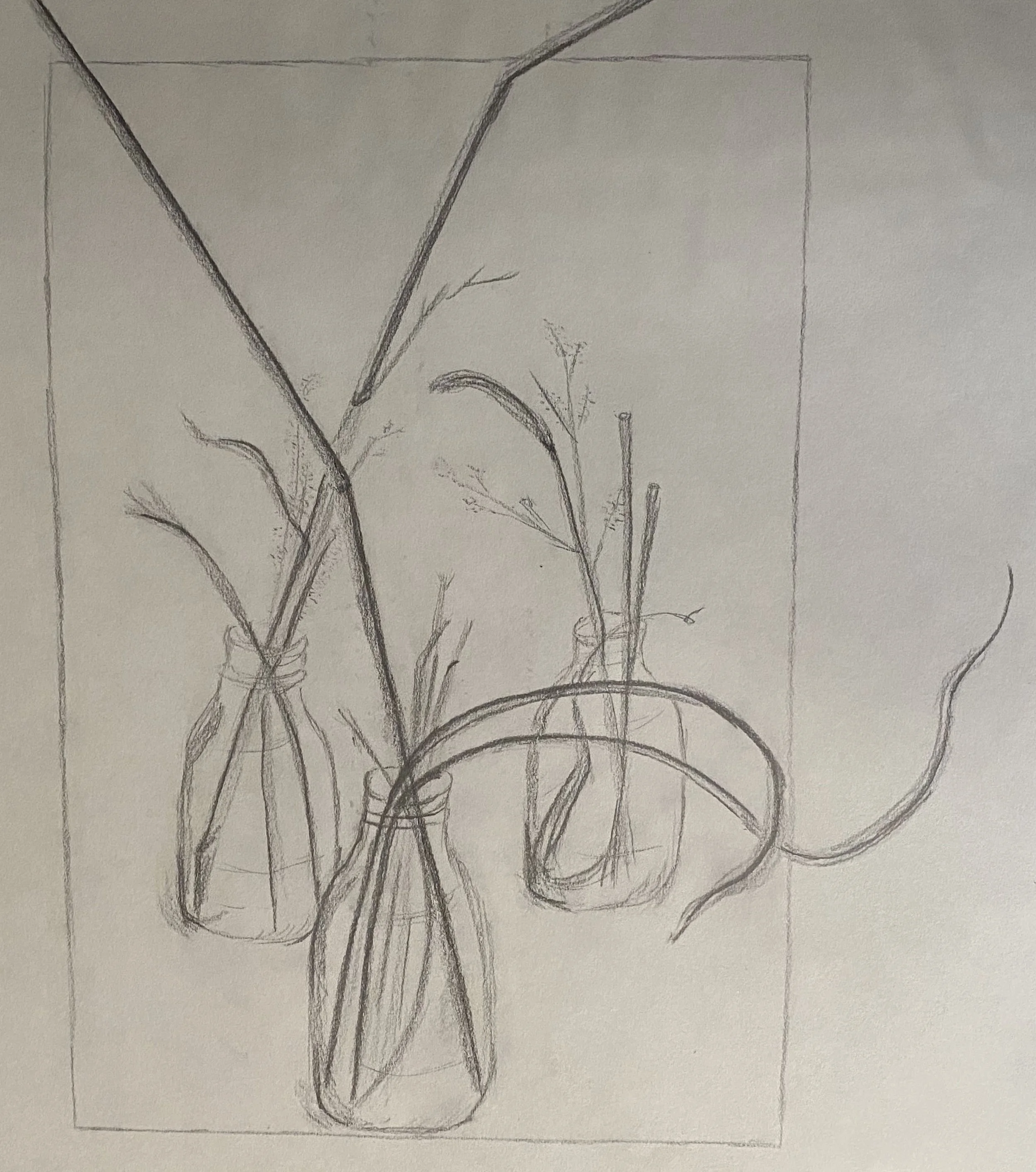 plants.jpg