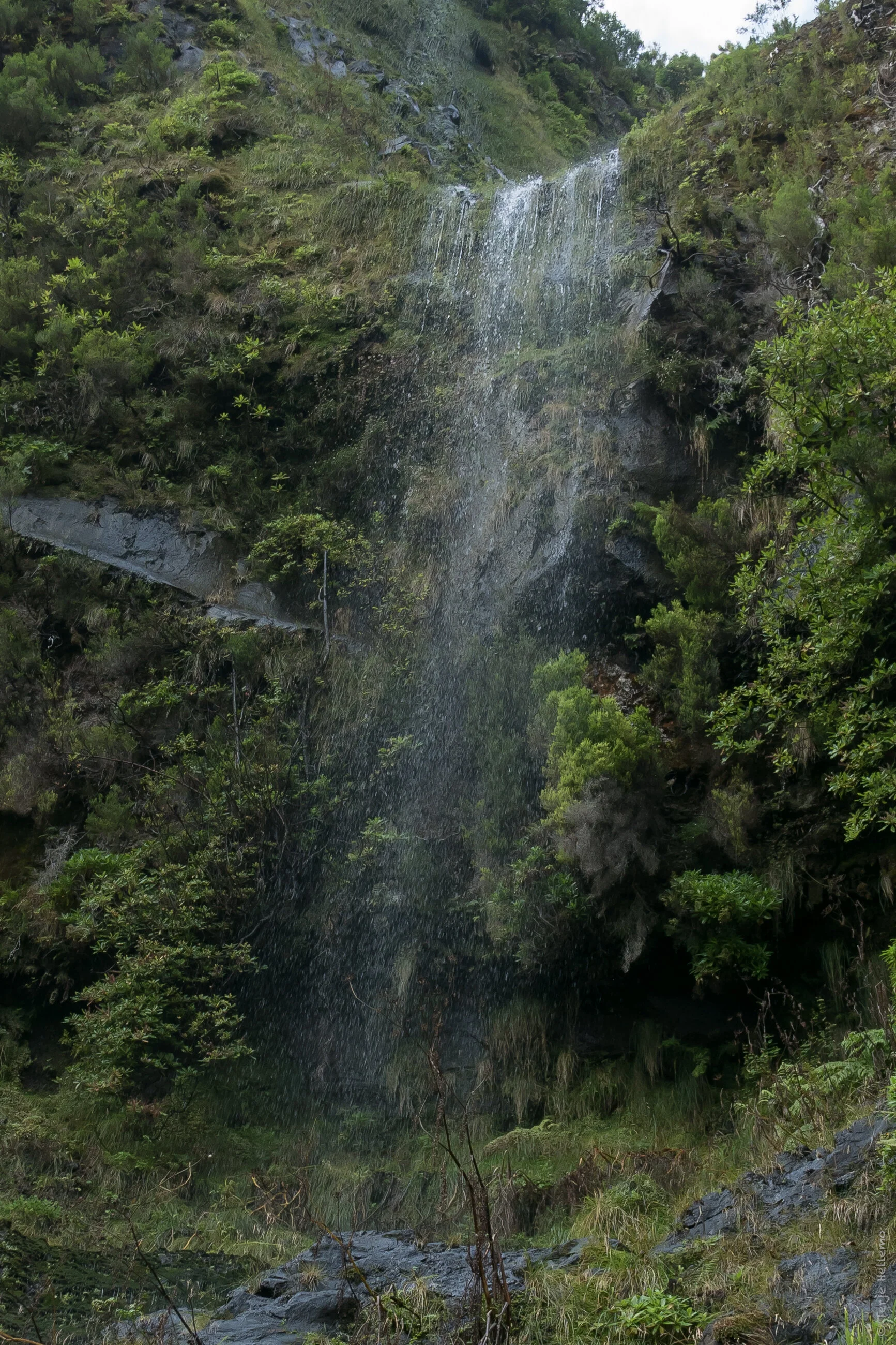 P1080627.jpg