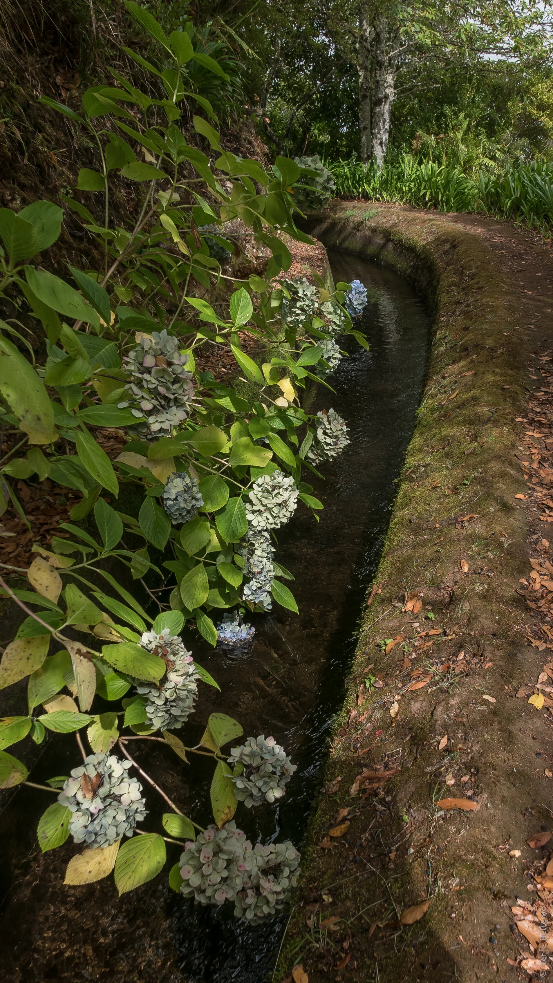 P1080645.jpg