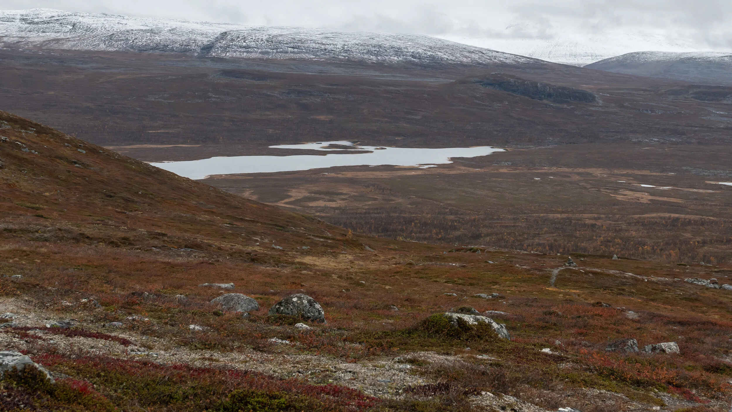 Nede på 650 meter. Goldahytta ligger i dalen Golddavuopmi. Vuopmi betyr etter det jeg forstår skogdal eller skogsland. Hvis man ser det navnet bør man kunne finne bålved der.