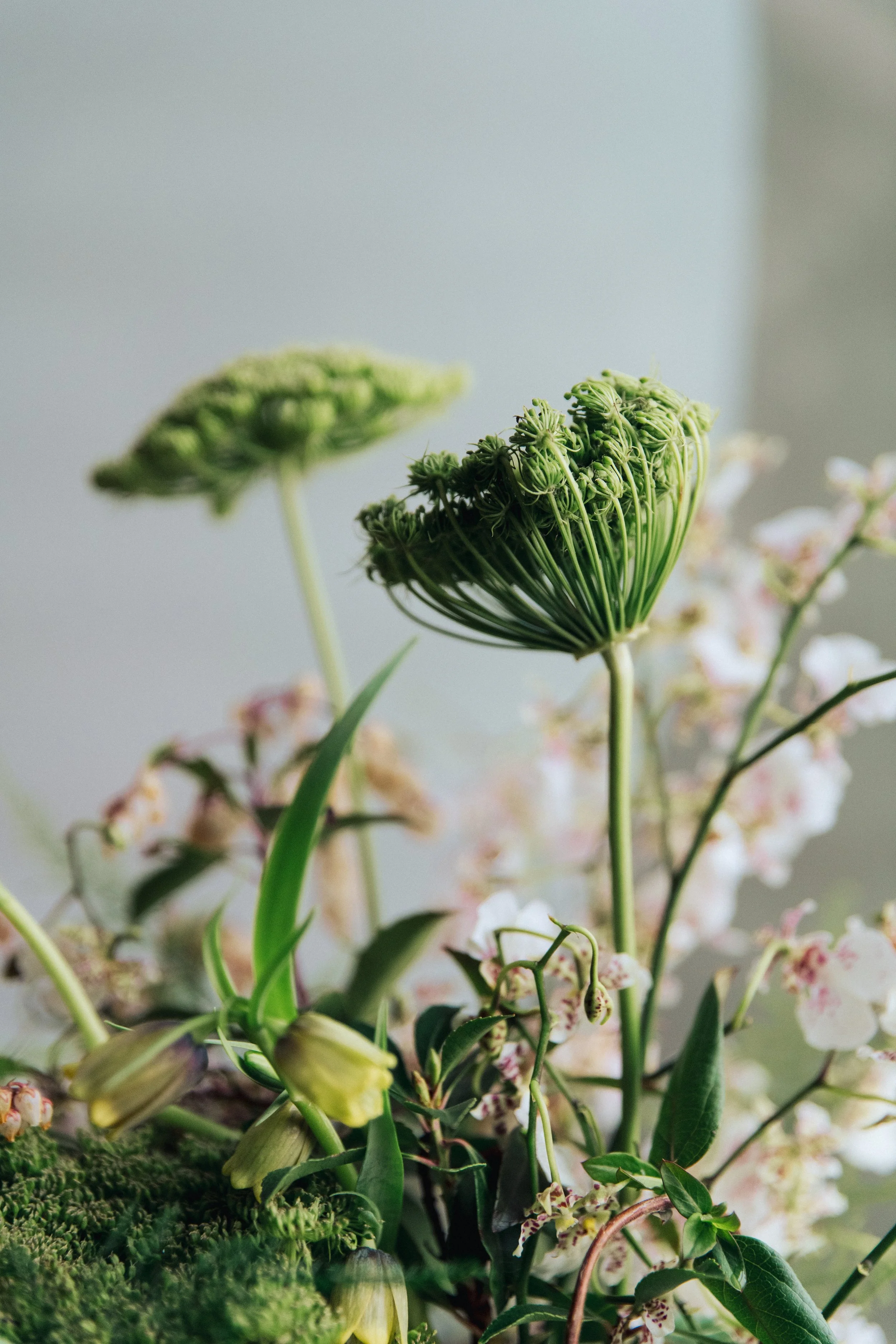 Zoe&Jack_032324-38.jpg