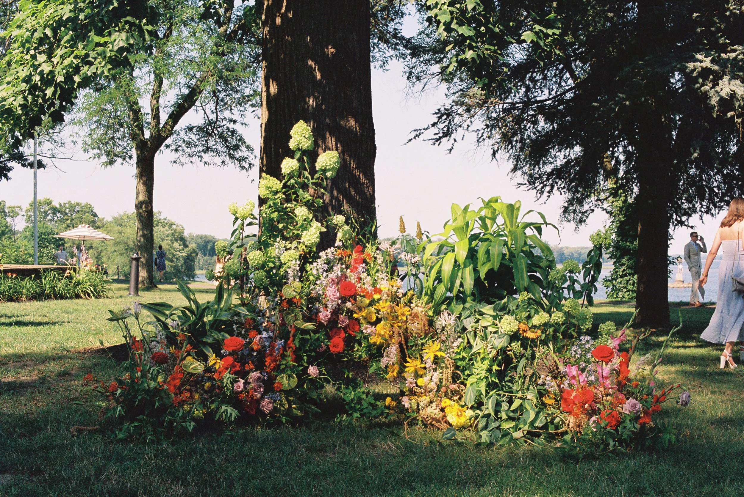 EA_film_0170.jpg