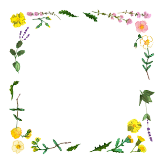 Screenshot 2026-03-12 at 5.48.43 PM.png