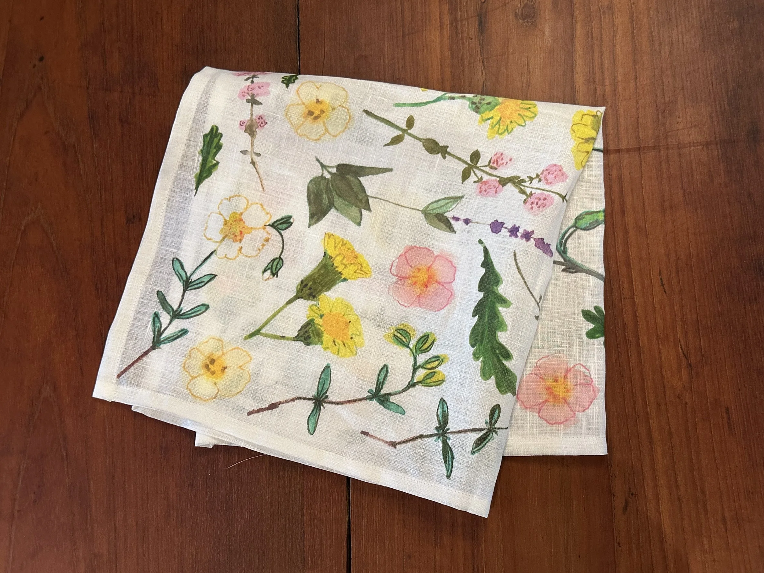 garrigue nap 2 dghsnk.jpg