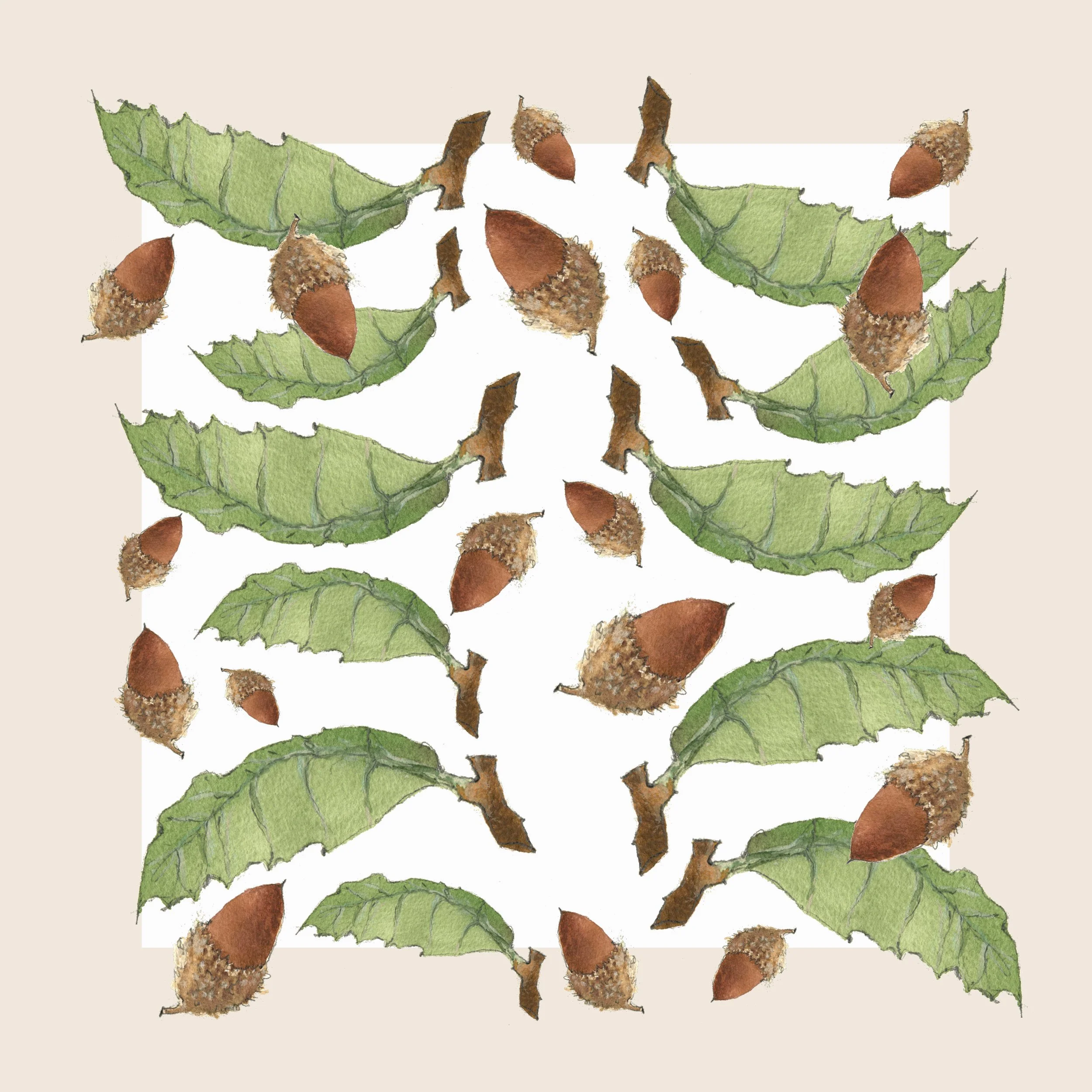 acorn and oak napkin b.jpeg