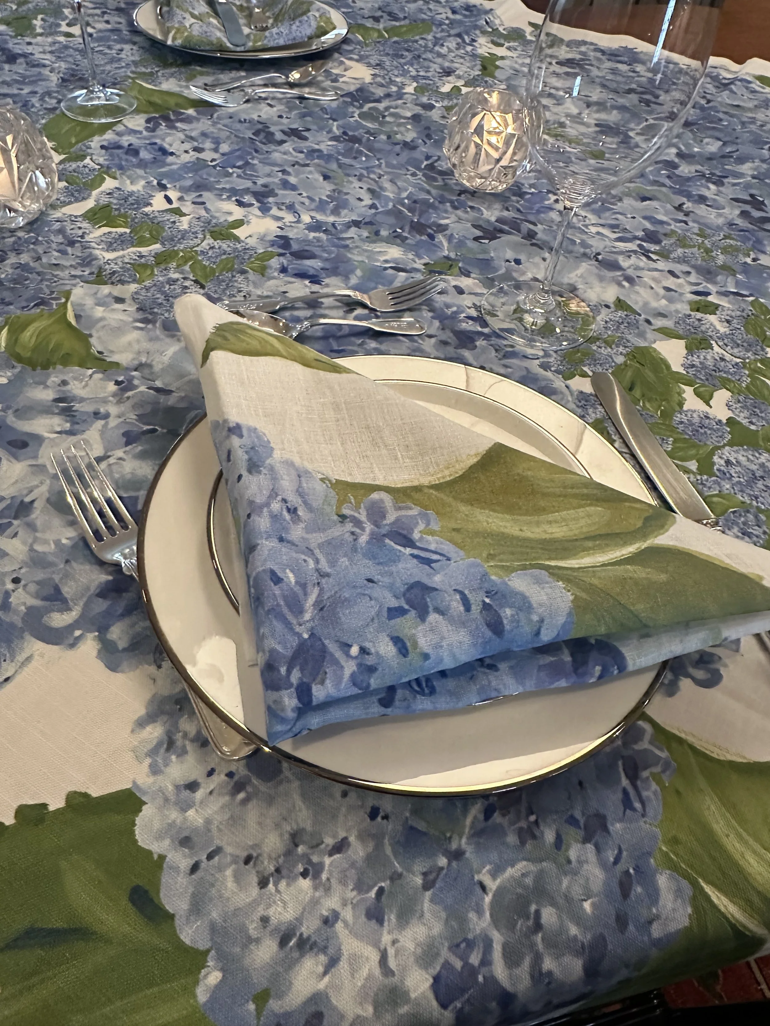 HYDRANGEA NAP 3 DHY.jpg