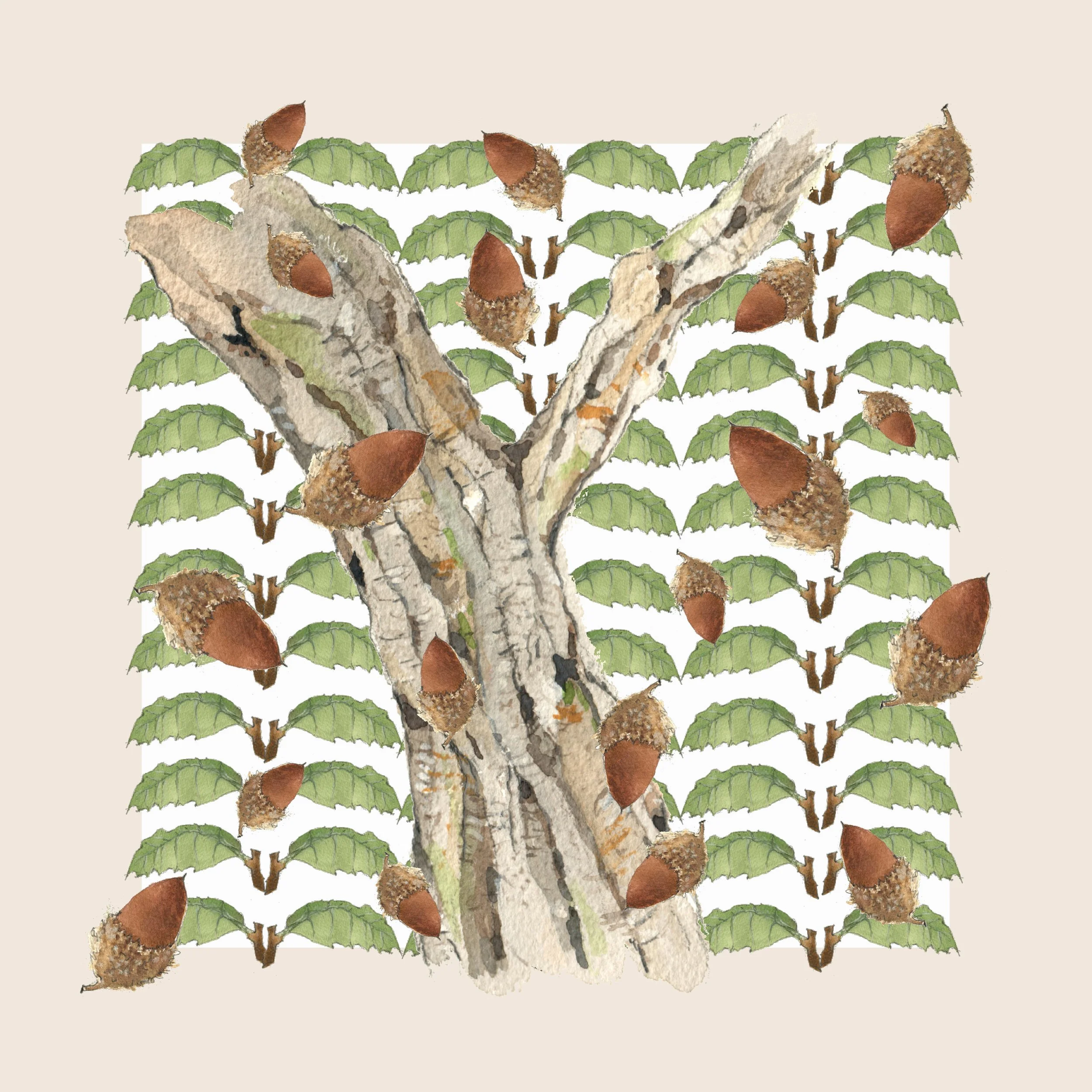 acorn and oak napkin a.jpeg