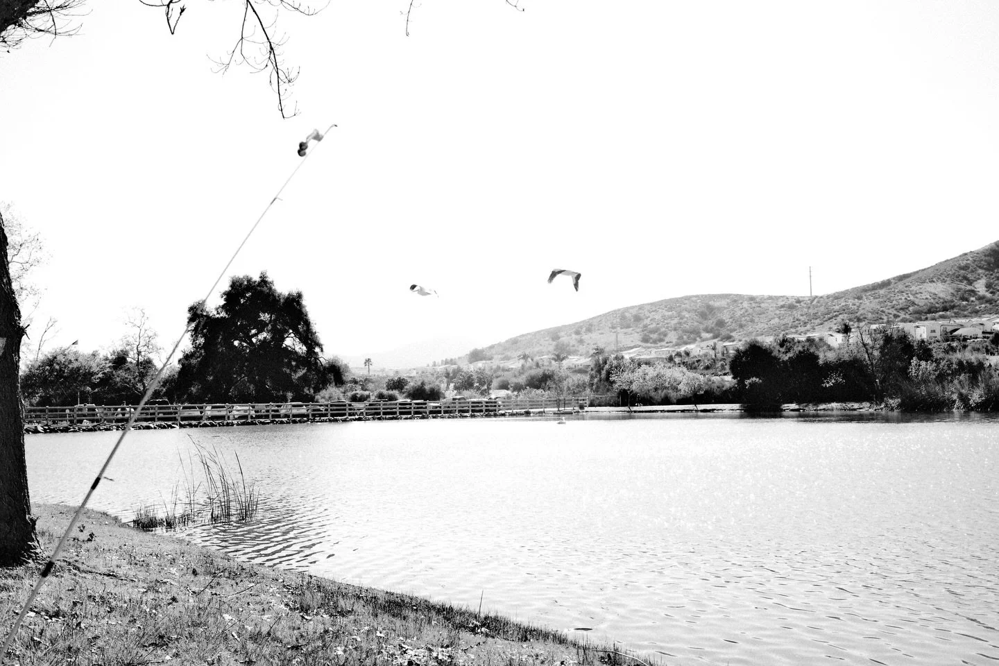 Fishing teaches you how to spend a whole day with hope, even when the last moment lets you down.
The fish got away. The day didn&rsquo;t.

#fishing #camping #twobrownguyshunt #fishinglife