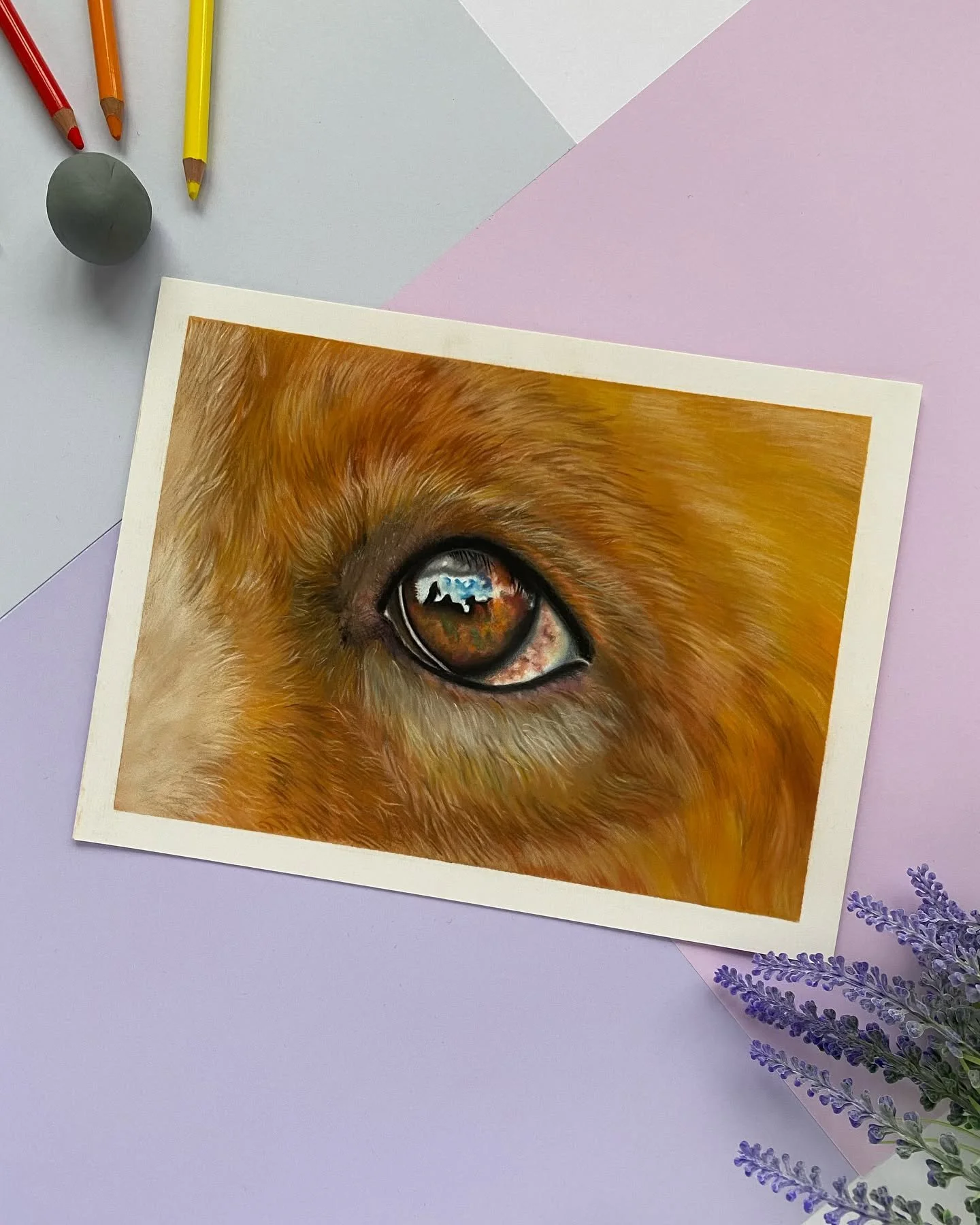 A dedicated post to the final of this eye study 🤓
I think it&rsquo;s obvious to see at this point how much I love drawing eyes! 👀 

✏️ Panpastel
✏️ Stabilo Carbothello pencils
✏️ Faber Castell Pitt Pastel pencils
📄 Pastelmat 

Have a lovely week ?