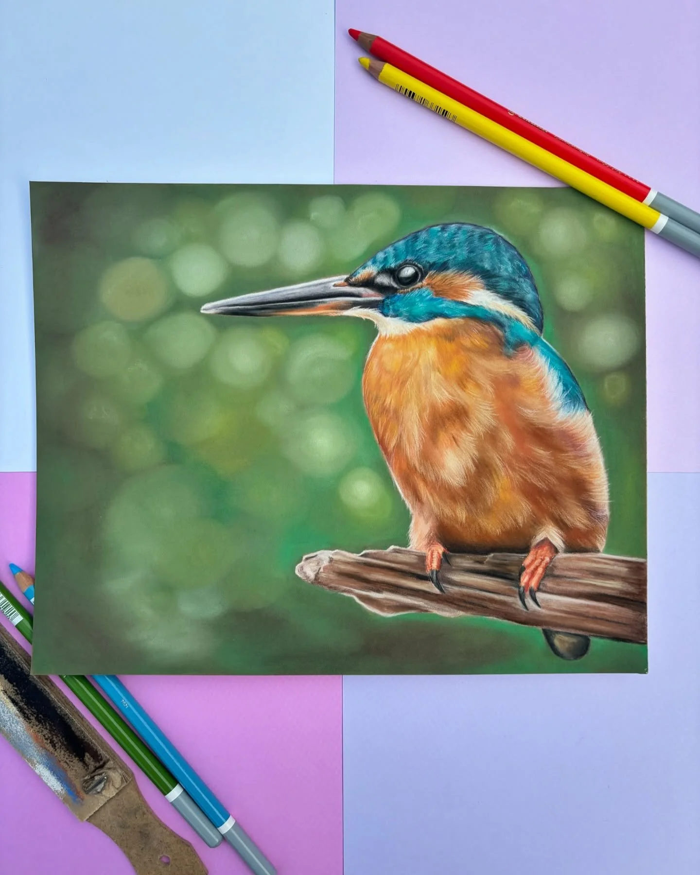 This is the final of my Kingfisher piece. I am nailing the colours lately with the vibrancy I love to bring with soft pastels. Really pleased with him ☺️

Supplies:
✏️ Stabilo Carbothello Pastel Pencils
✏️ Faber Castell Pitt Pastel Pencils
✏️ Pan pas