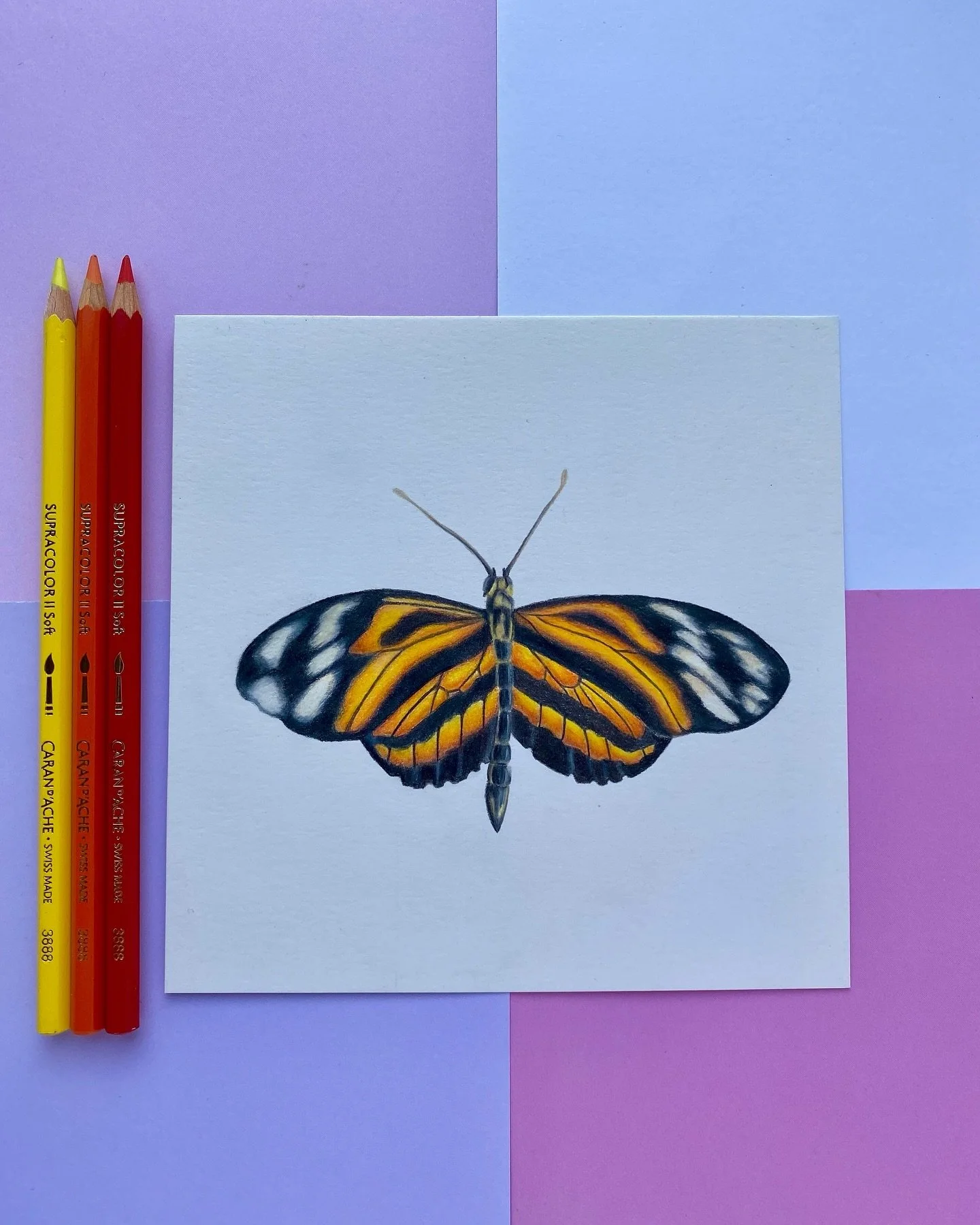 Butterfly 🦋 final shot 🤍

The supplies ⬇️

✏️ Faber Castell Polychromos
✏️ Caran d&rsquo;Ache Luminance
📄 Strathmore Bristol Paper

What are your thoughts on seeing a drawing with this subject? Do you prefer the furry animals? 🤔

Have a lovely we