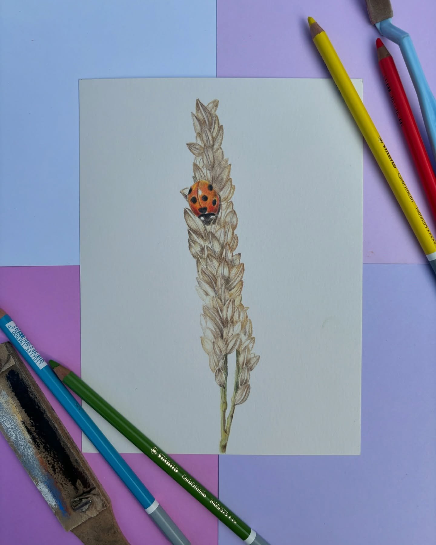 The finished little Ladybird drawing 🐞 Something a little different. 🤍

Have a good weekend all 👌

✏️ Faber Castell Polychromos
✏️ Caran d&rsquo;Ache Luminance 
📄 Strathmore 300 series Bristol Pad

#ladybird #ladybirds #ladybirddrawing #polychrom