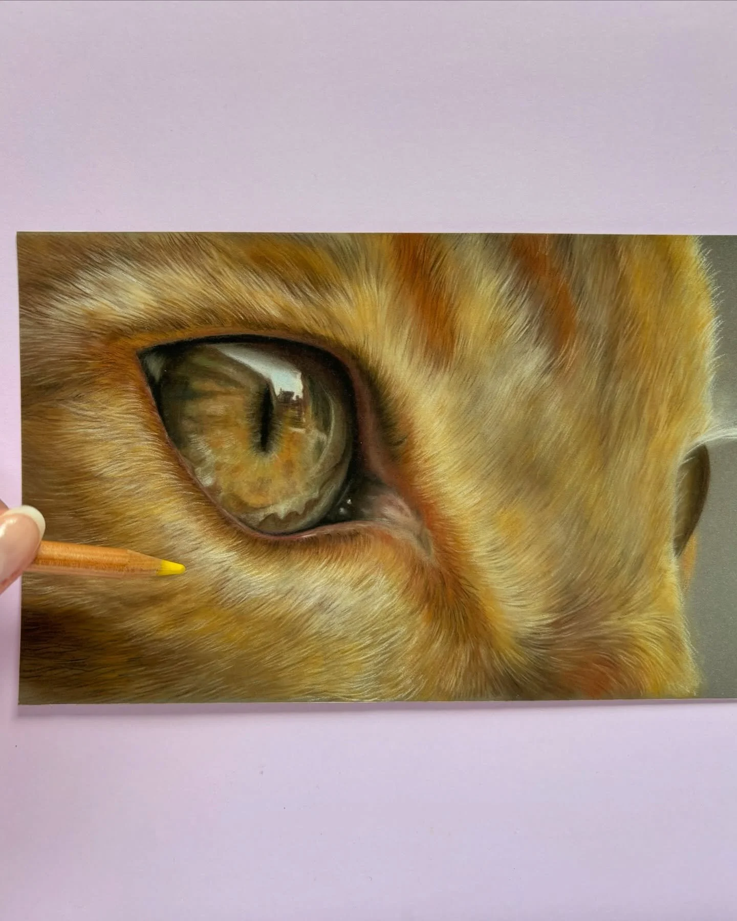 👋🏻what&rsquo;s up!

Getting round to uploading the final update of my Cat Eye Study!
This was a labour of love 😂 for some reason I&rsquo;ve been too terrified to finish it because I liked how it was going. Decided to knock myself outa that and get