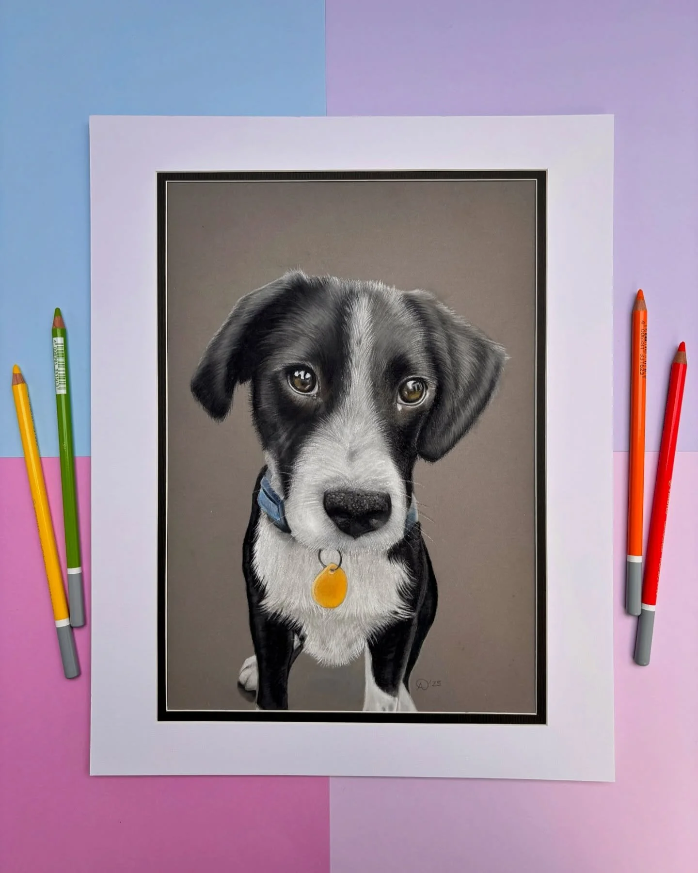 🌟Here is the finished memorial portrait of Finley as a puppy. This is the first of 2 secret commissions that I can now show you as they have been gifted. 

Finley&rsquo;s time on earth was cut incredibly short, but he was so loved. Rest in peace Fin