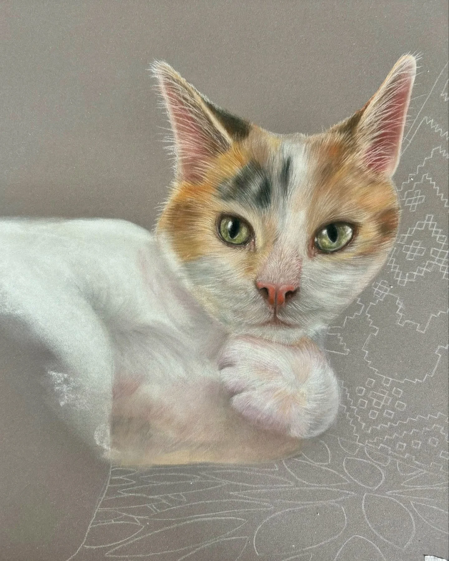 Happy Wednesday everyone🤍

This is a progress post for the memorial portrait of Princess. I am so utterly grateful that the client asked me to draw her. Princess was an absolute joy to draw with her fantastic coloured coat. This portrait utilises mu