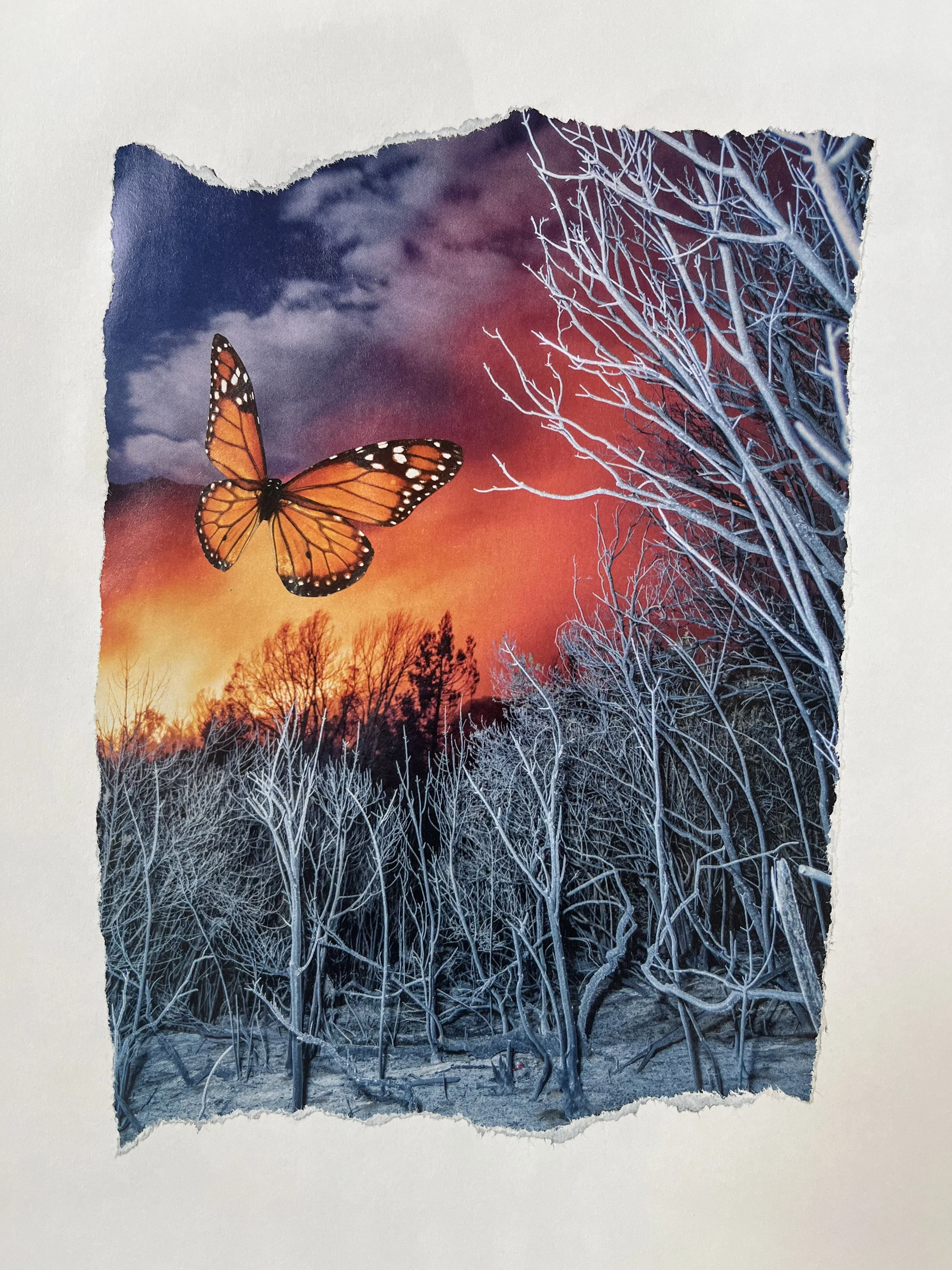A mixed media artwork featuring a Monarch butterfly flying over a winter landscape with leafless snow-covered trees, a vivid sunset sky with clouds, and a digitally enhanced background blending natural and surreal elements.