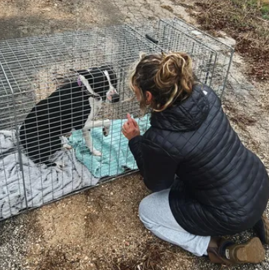 Woman with Dog in Humane Trap
