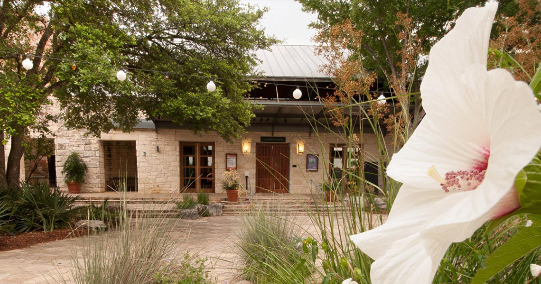 A stone building with a wooden door, surrounded by trees and plants, with string lights hanging overhead and a large white flower in the foreground.