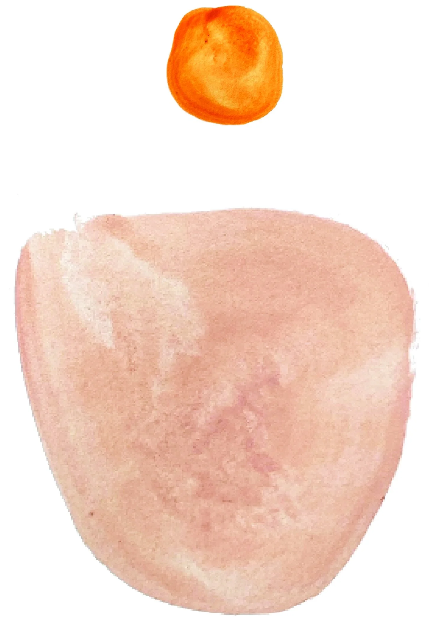 Dréa Peters Interiors Watercolor Mark Orange dot with Blush Cup