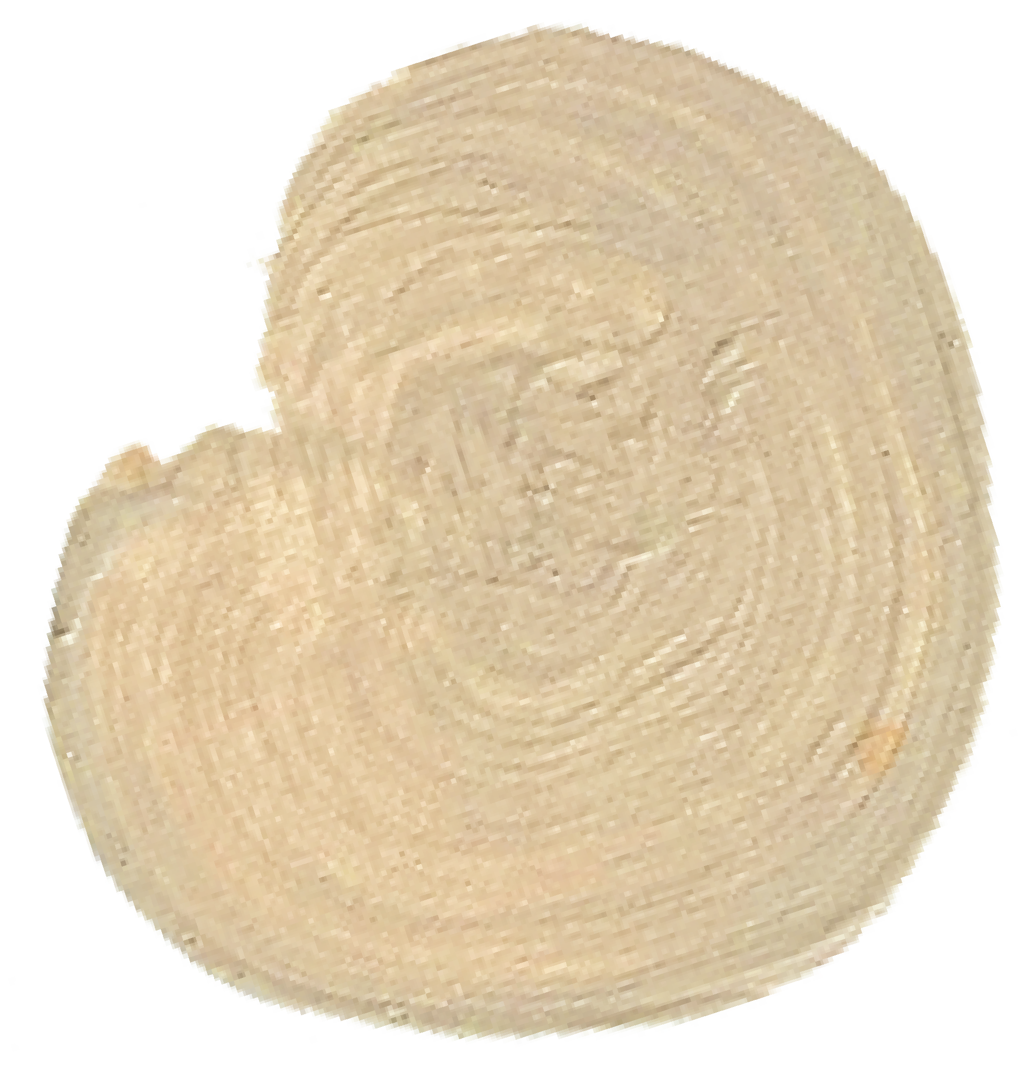 Close-up of a single round, beige clay swirl.