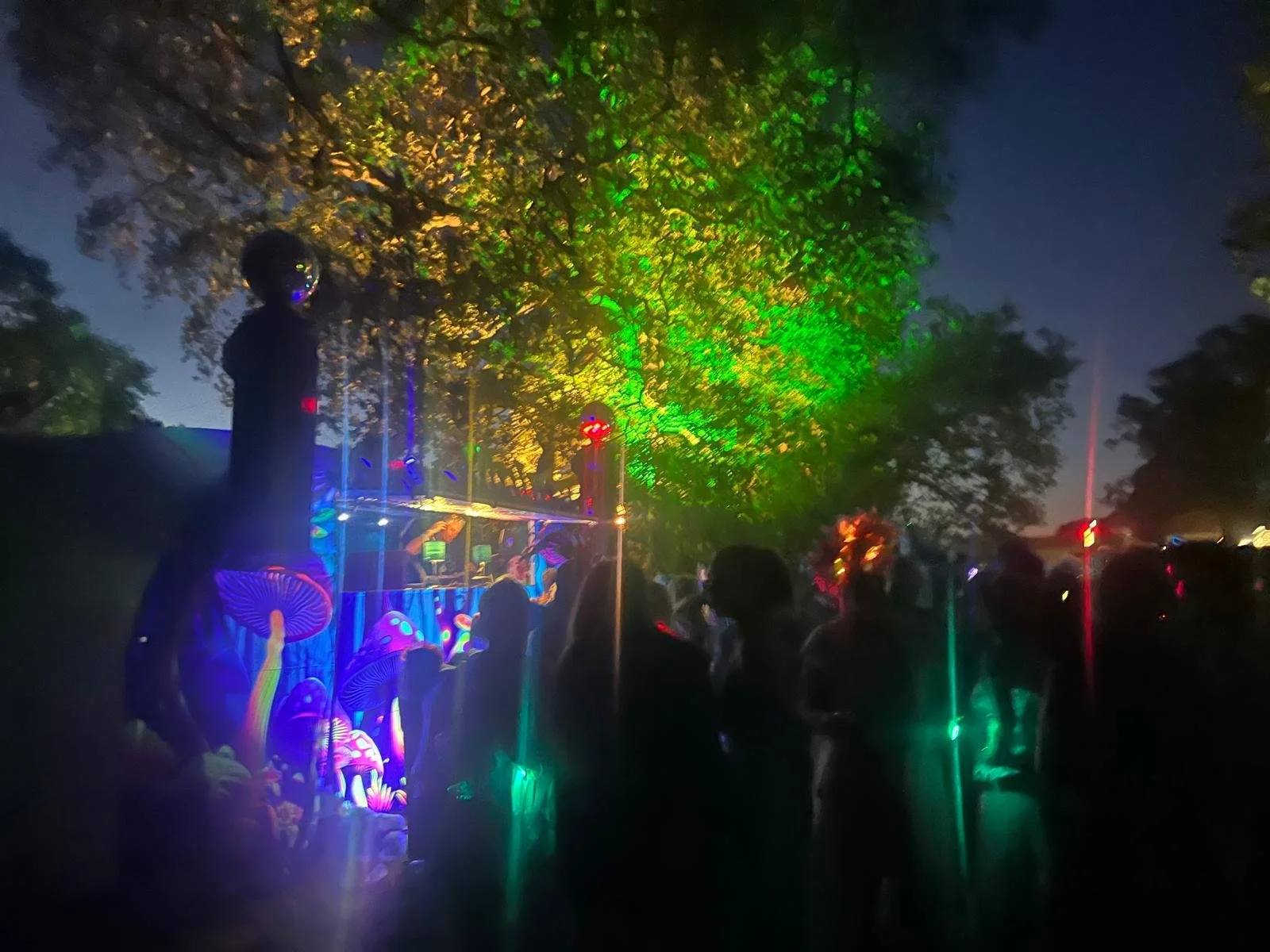 trippy give night shot woods.jpeg