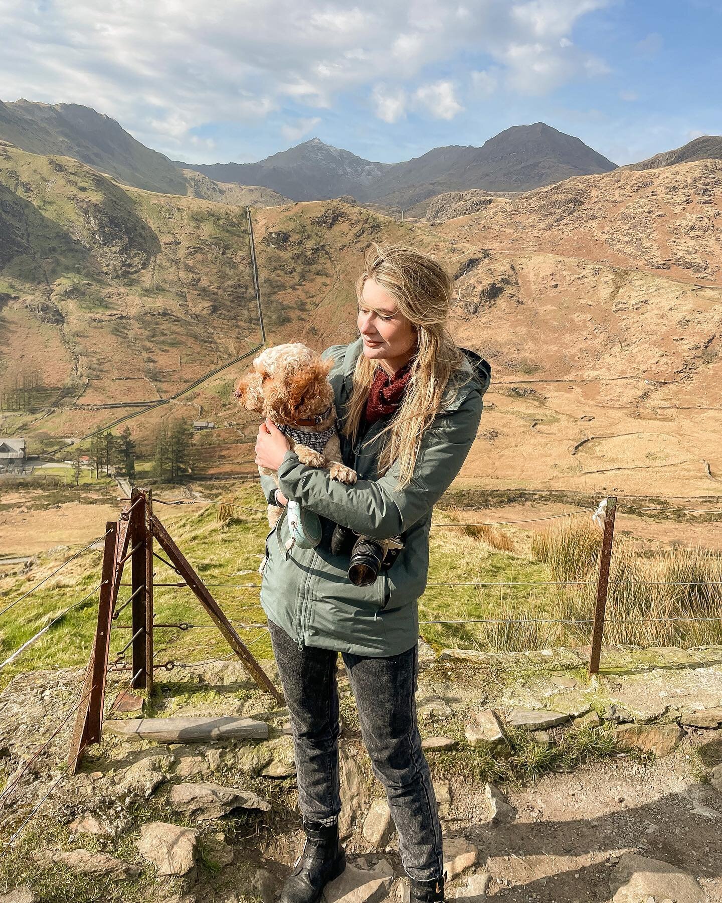 We&rsquo;re taking in this wondrous backdrop of Snowdon 🐾