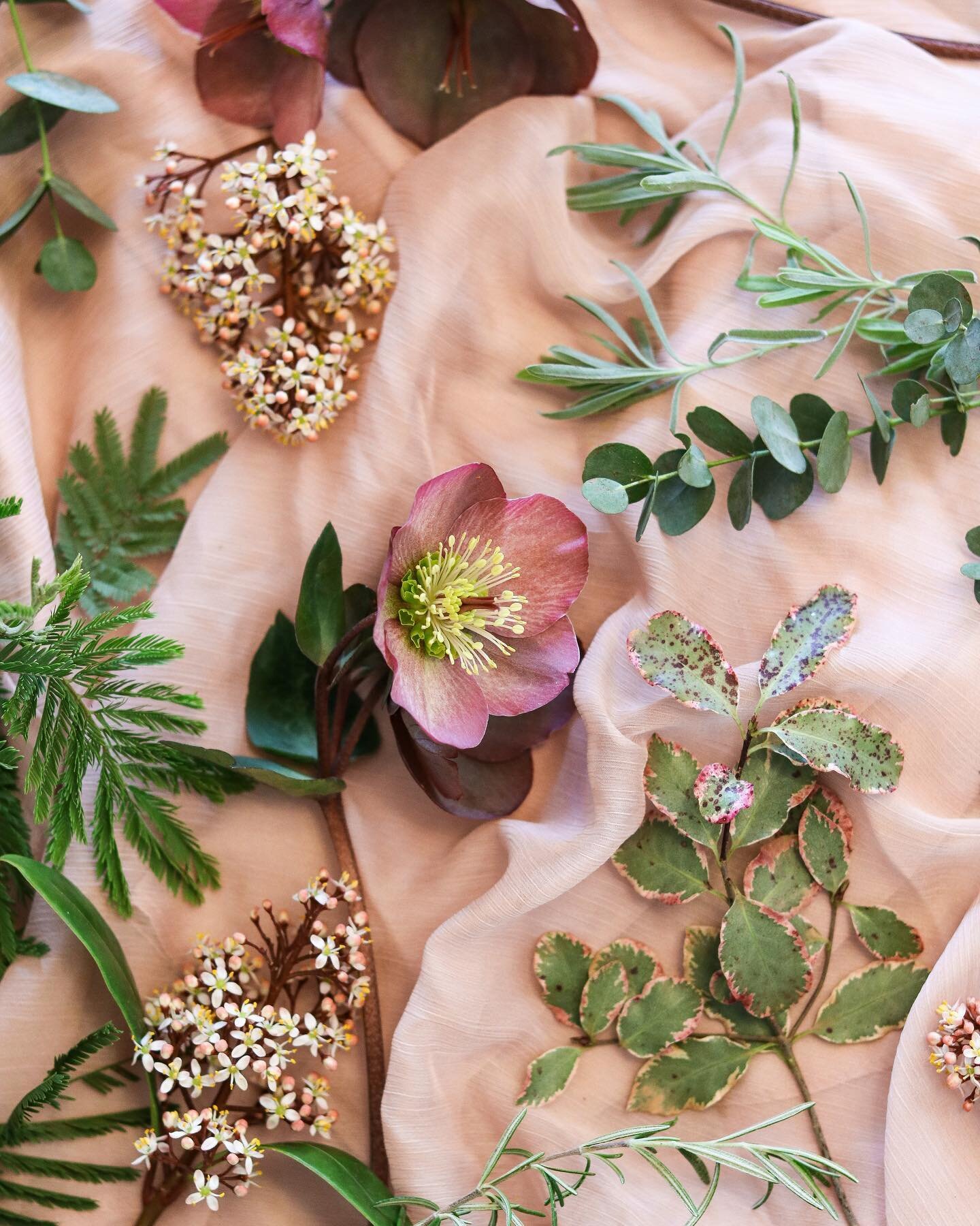 Fresh ingredients from the garden for new @adorafloraldesign spring arrangements 🕊🌿💕