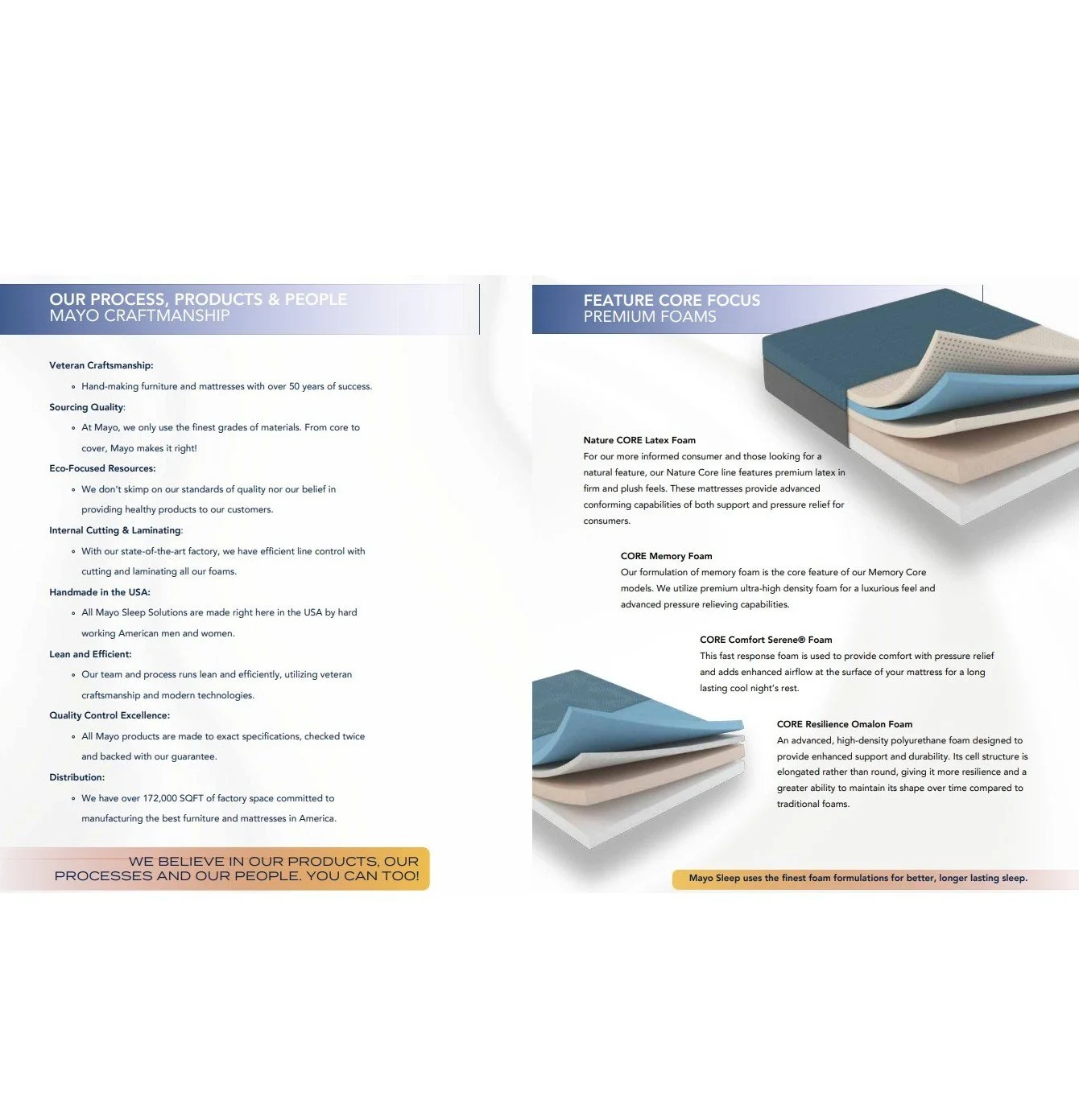 mayo matt features.jpg