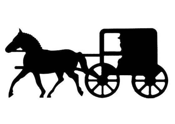 large amish buggy.jpg